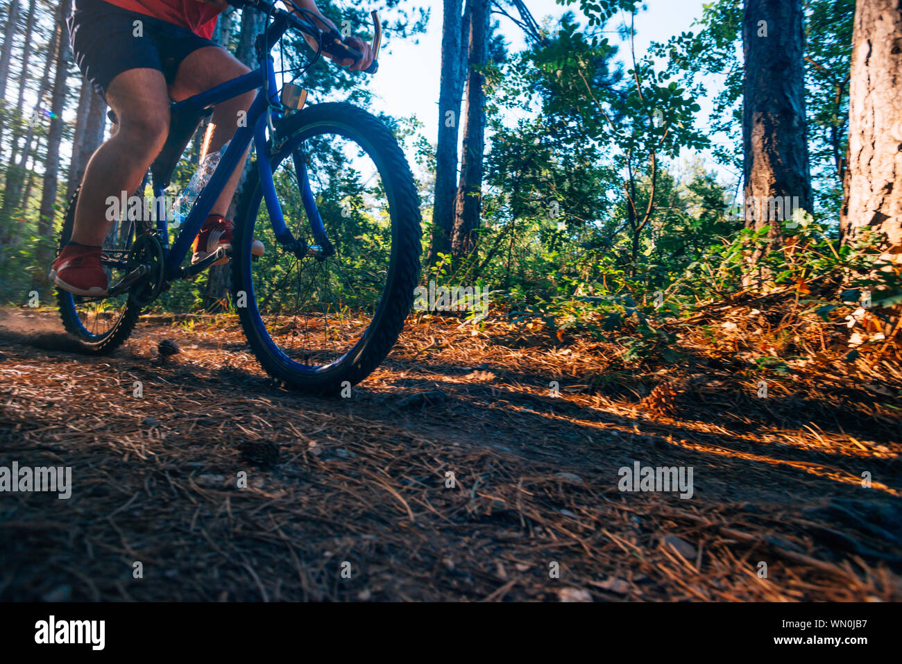 Extreme biker riding his bicycle downhill while wearing no safety equipment while hitting the