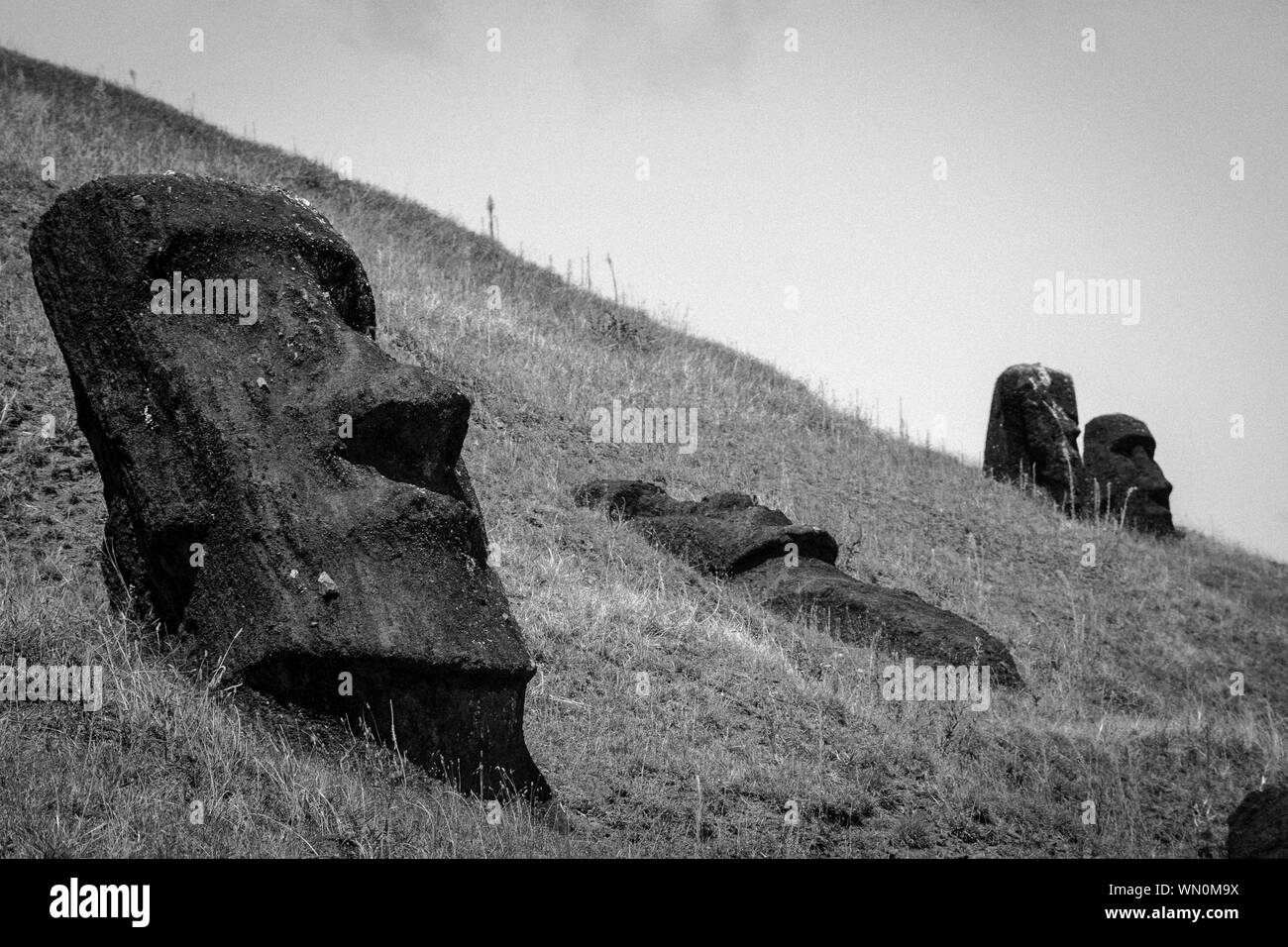Moai of rapa nui hires stock photography and images Alamy