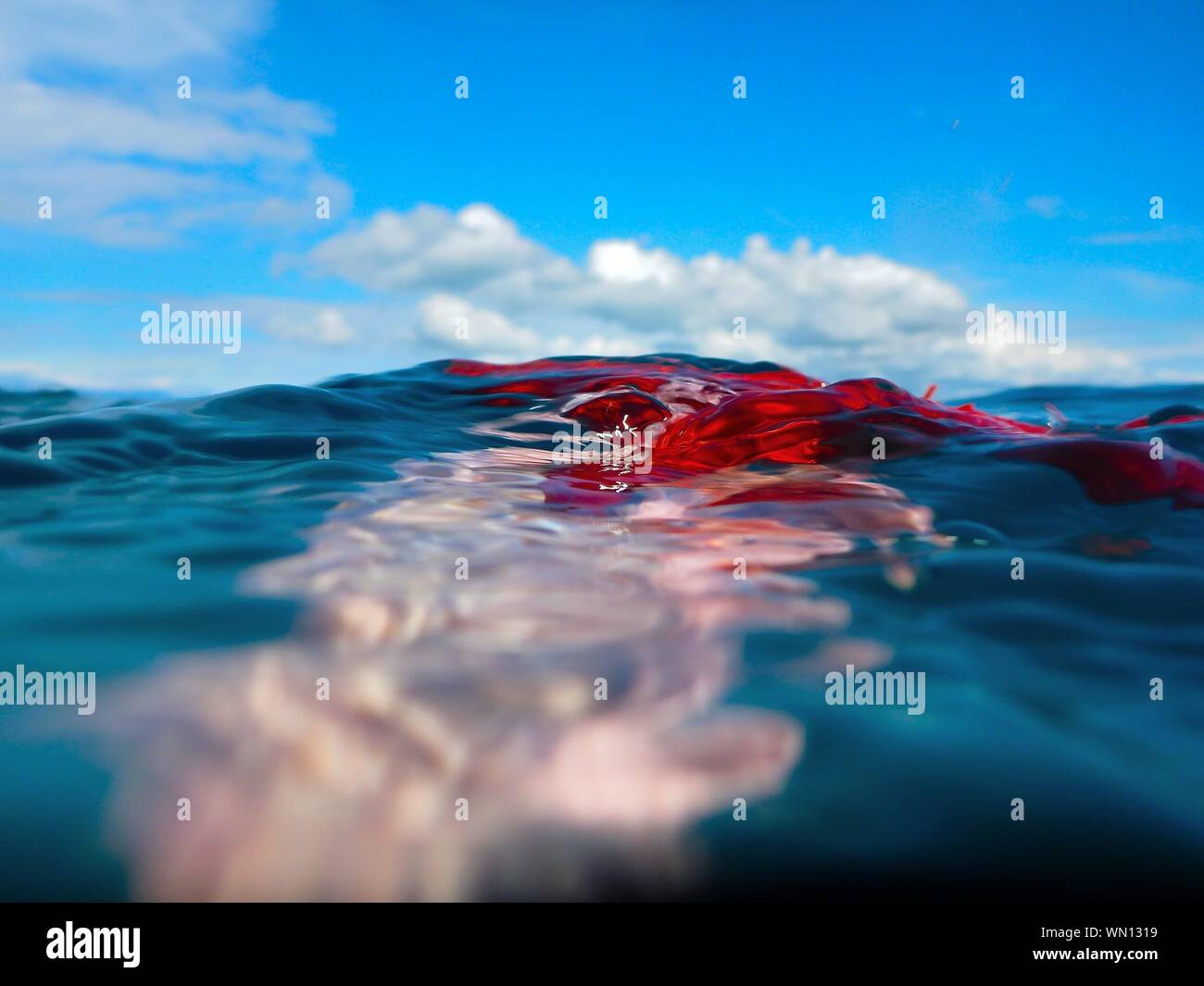 Water Surface Level Of Sea With Red Fabric Against Sky Stock Photo