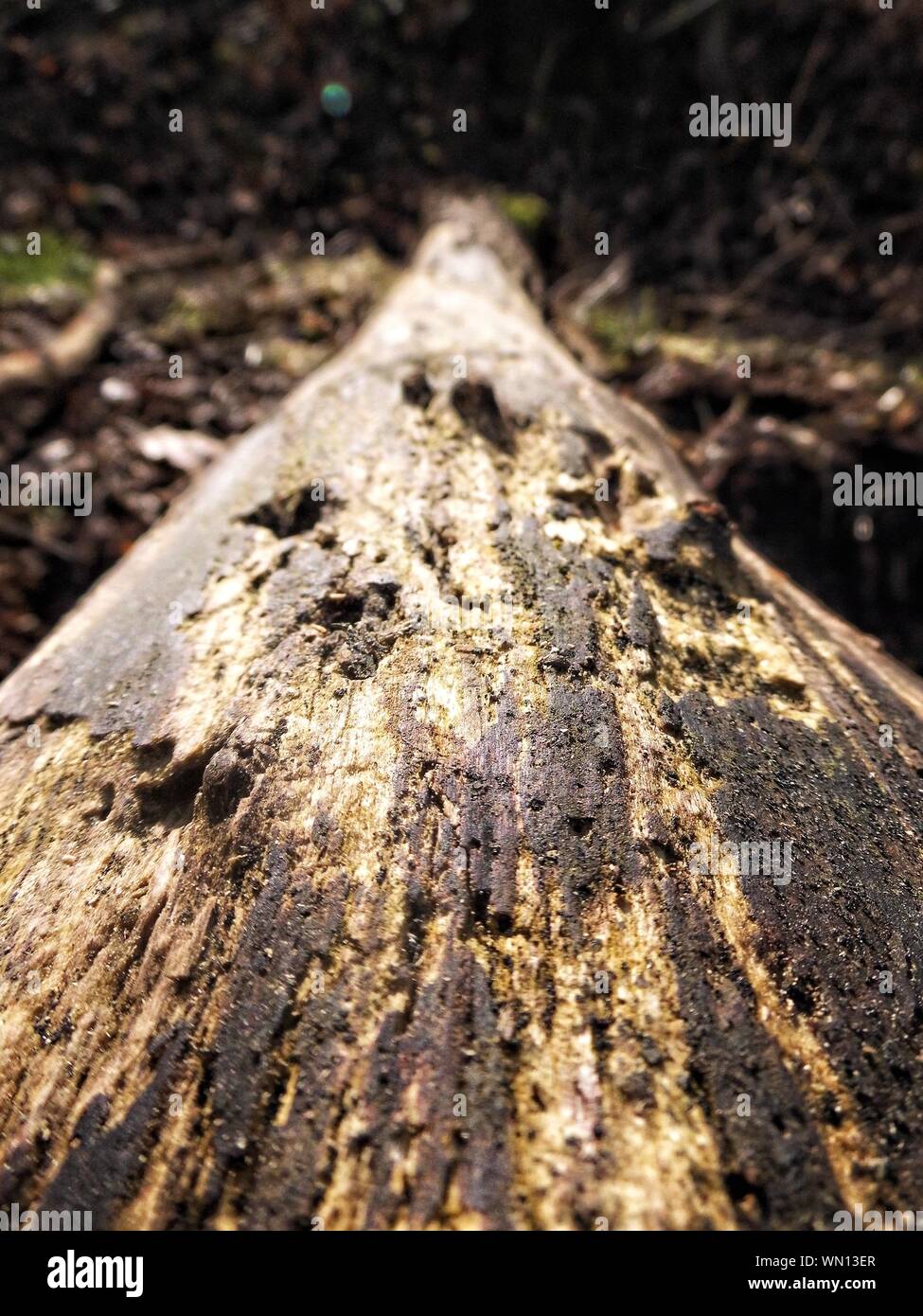Rough close hi-res stock photography and images - Alamy