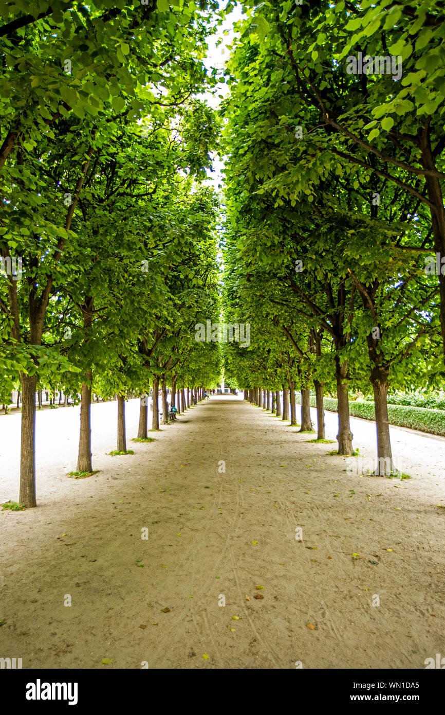 Palais Royal Gardens Paris France Stock Photos Palais Royal