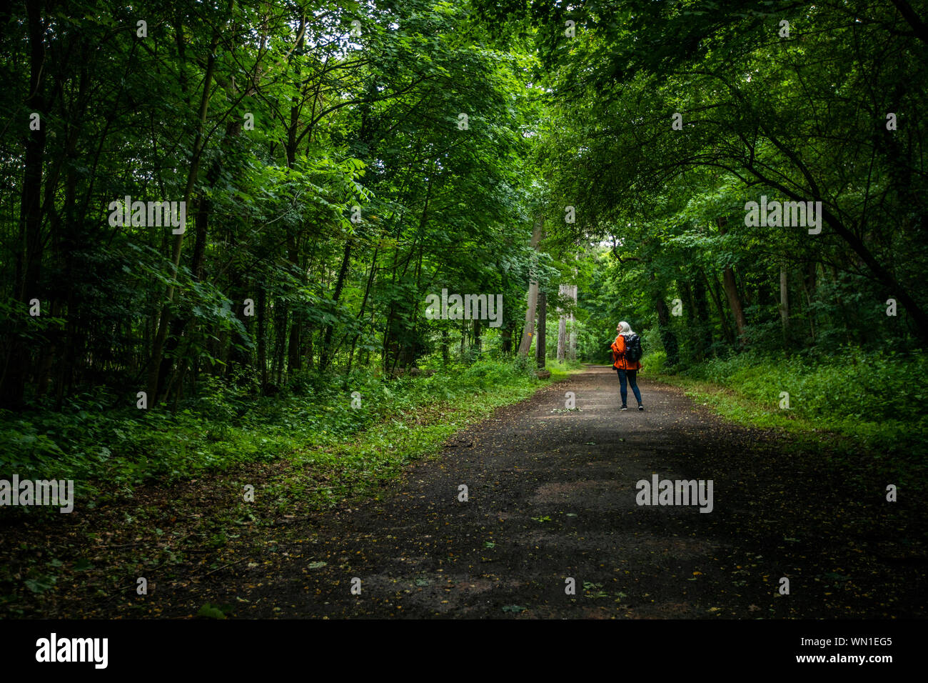 Mature woman walking through forest hi-res stock photography and images ...