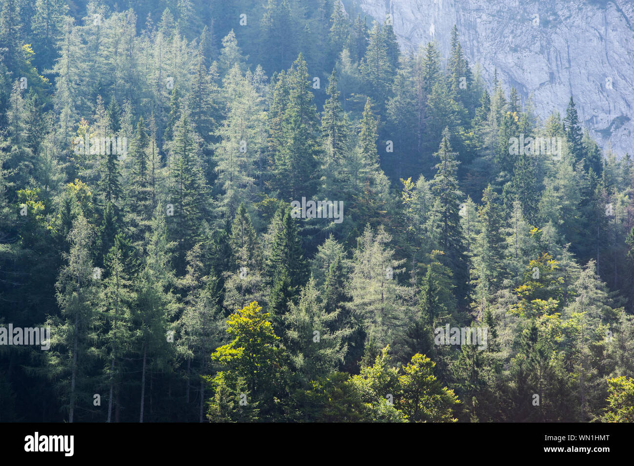Illuminated environment hi-res stock photography and images - Alamy