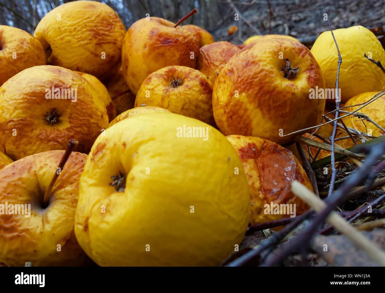 3 Rotten Apples Rotten Apples High Resolution Stock Photography and Images - Alamy