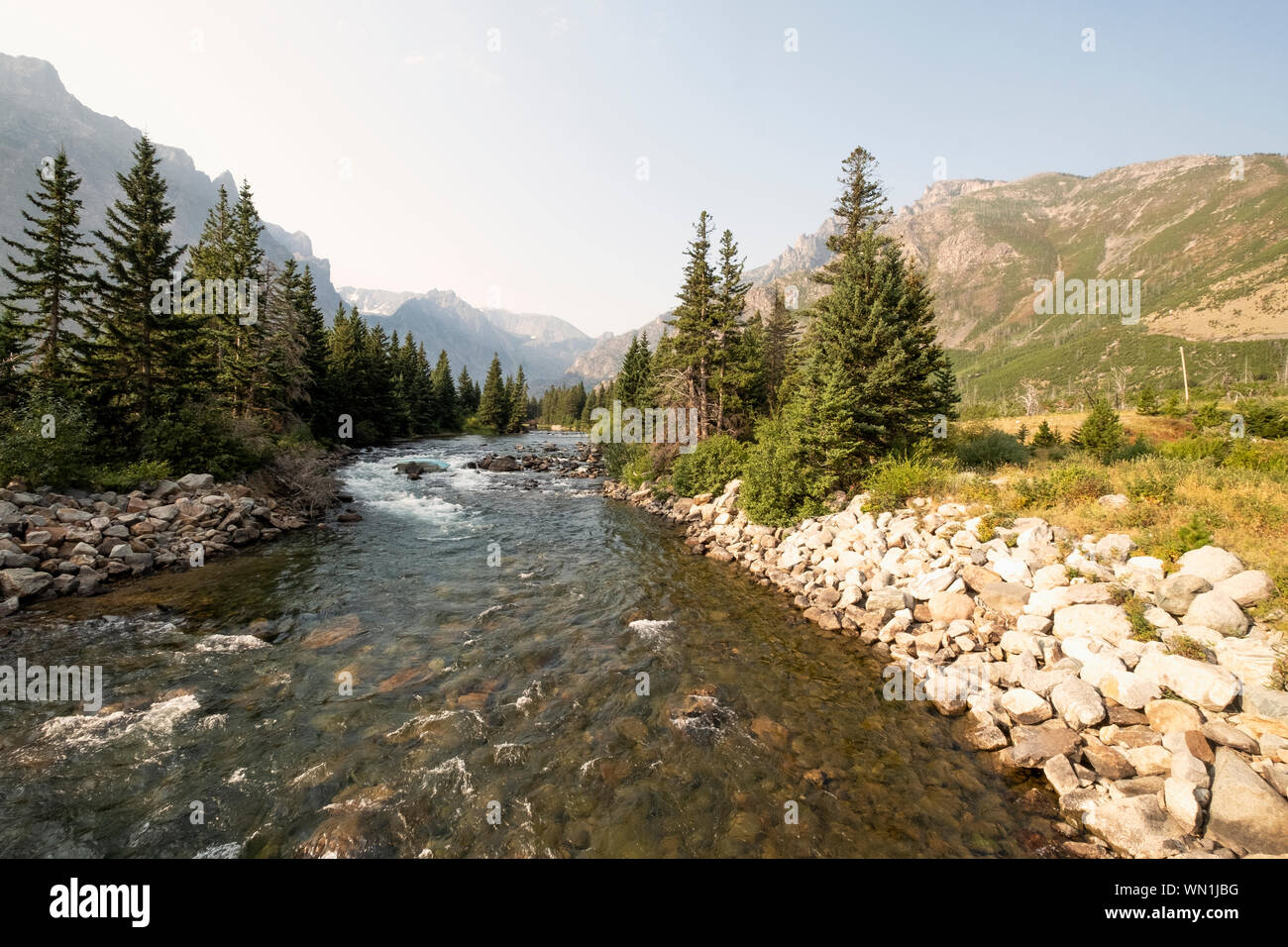 Stream and pine trees in Montana, USA Stock Photo - Alamy