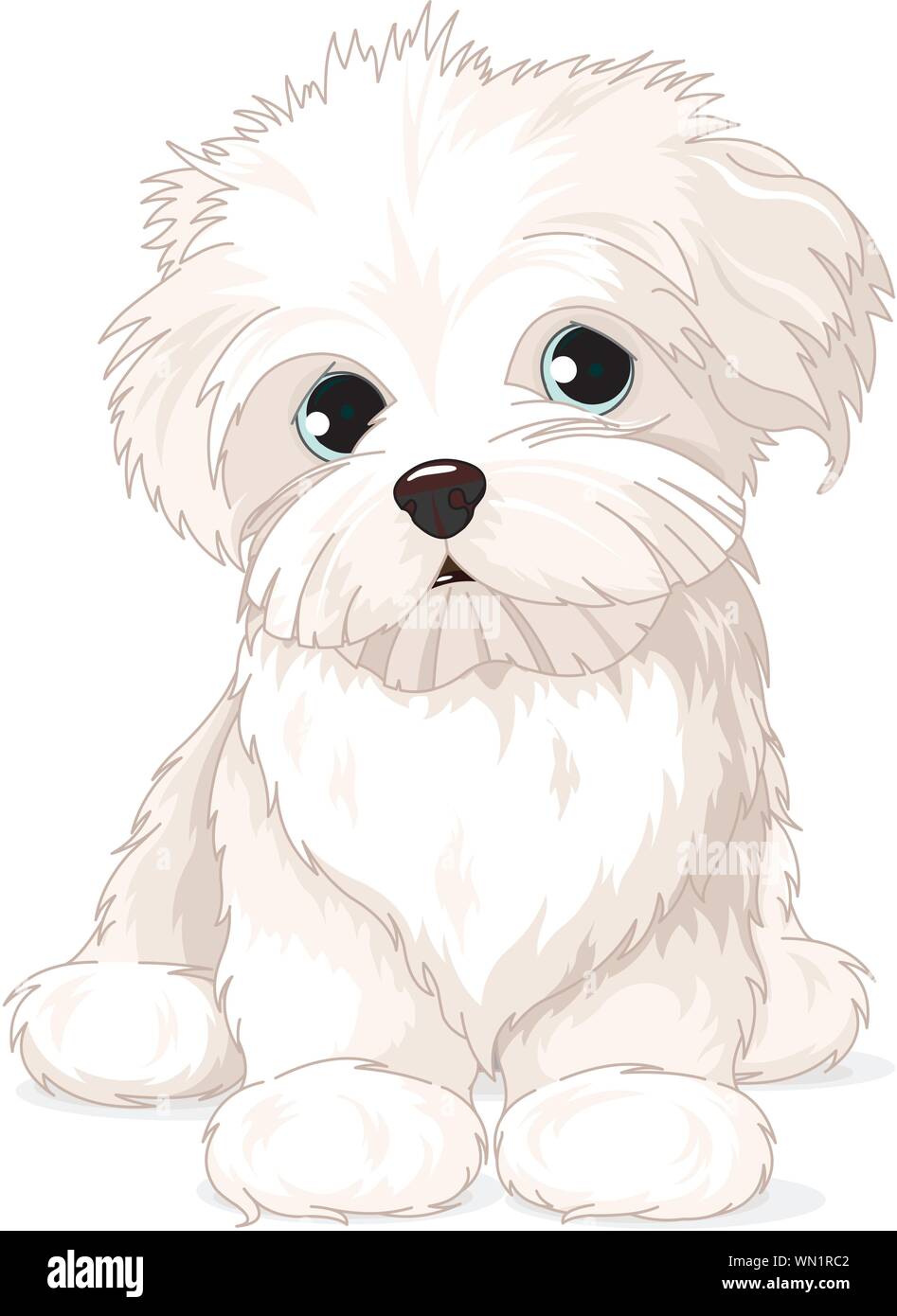 Maltese Puppy Dog Stock Vector Image & Art - Alamy