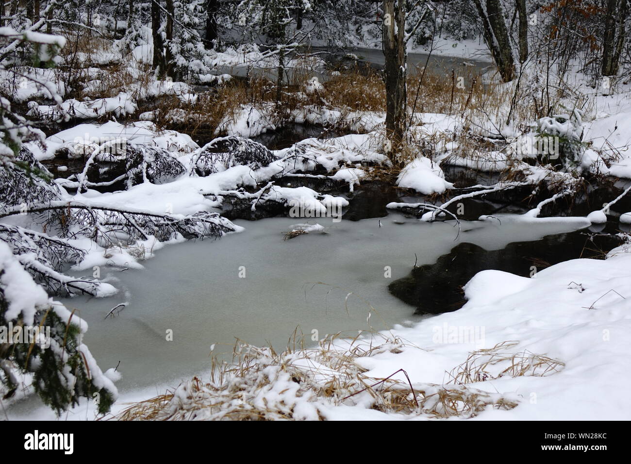 Frozen lake forest hi-res stock photography and images - Alamy