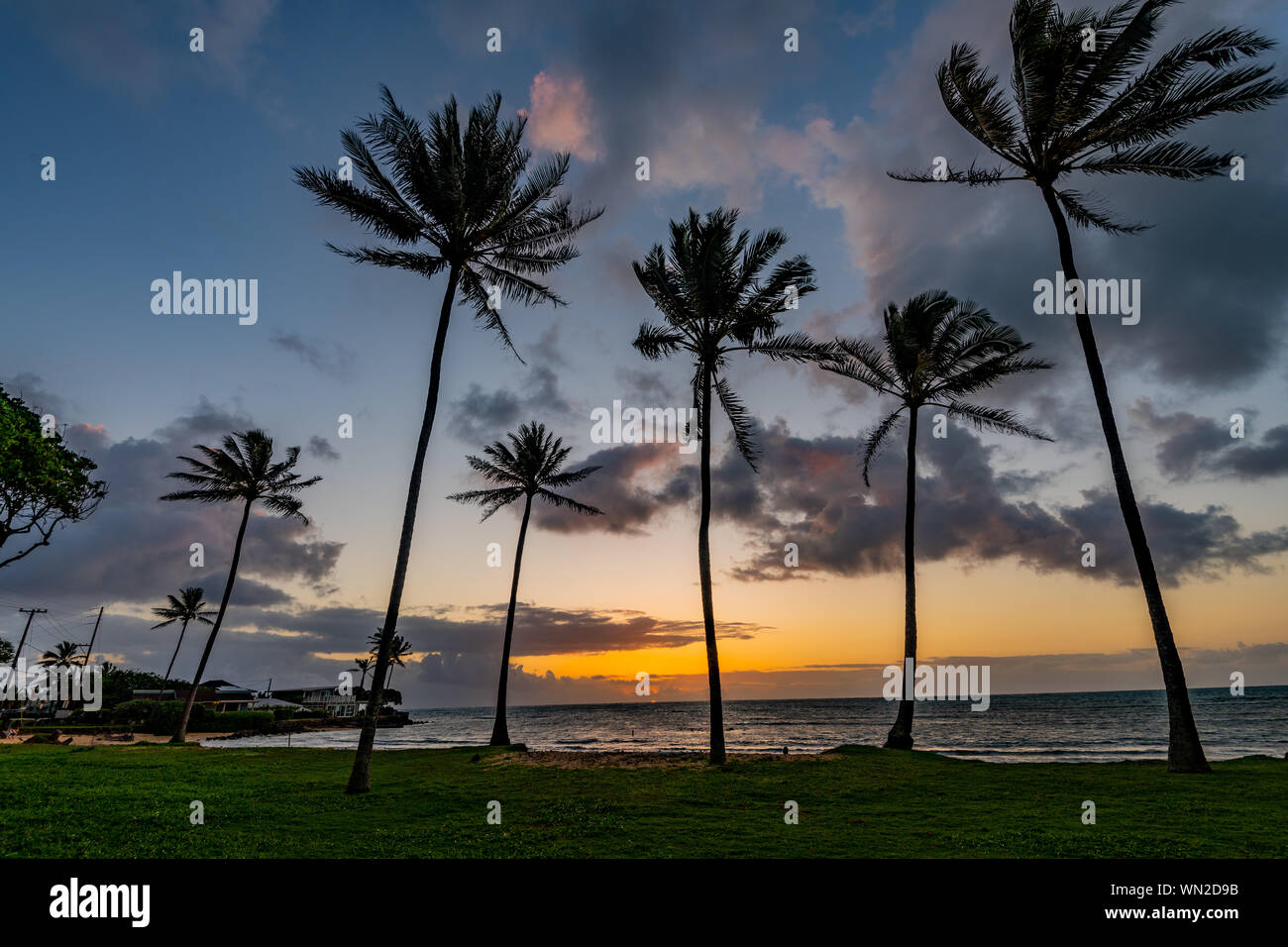 Hawaii images hi-res stock photography and images - Alamy