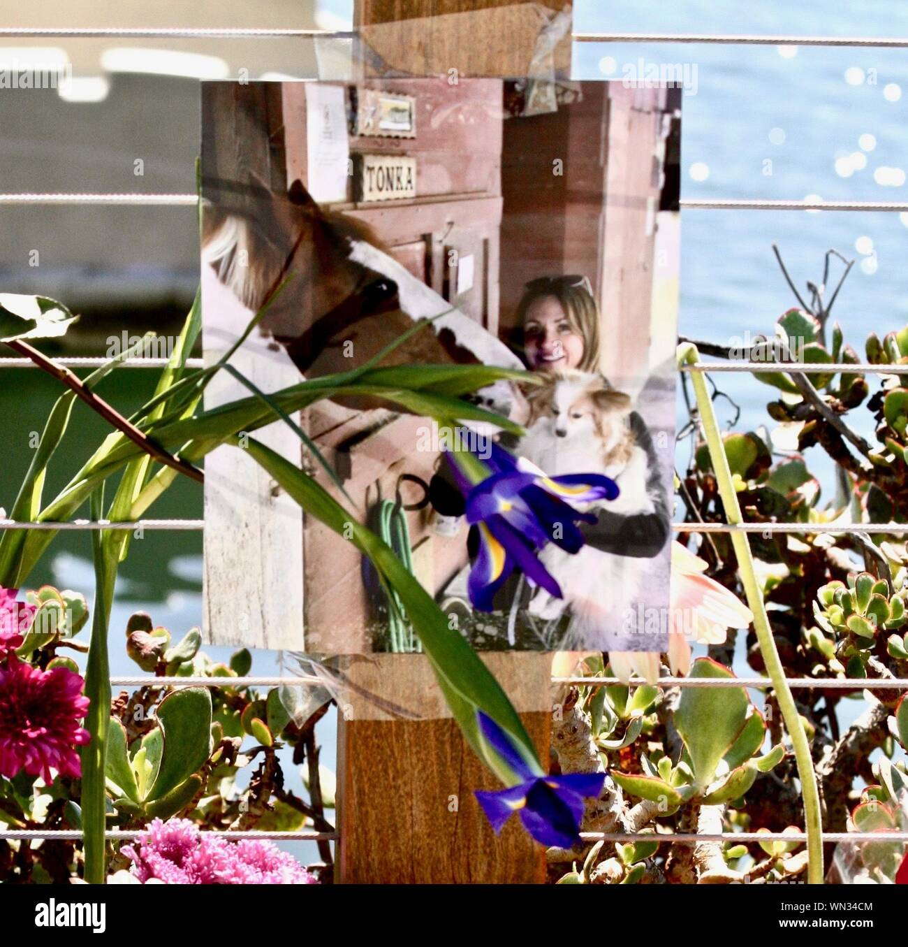 Santa Barbara, California, USA. 5th Sep, 2019. The Photograph of Lisa Fielder that her sister, Shayna Kreps, placed at the Santa Barbara Harbor memorial site today. (Credit Image: © Amy KatzZUMA Wire) Stock Photo