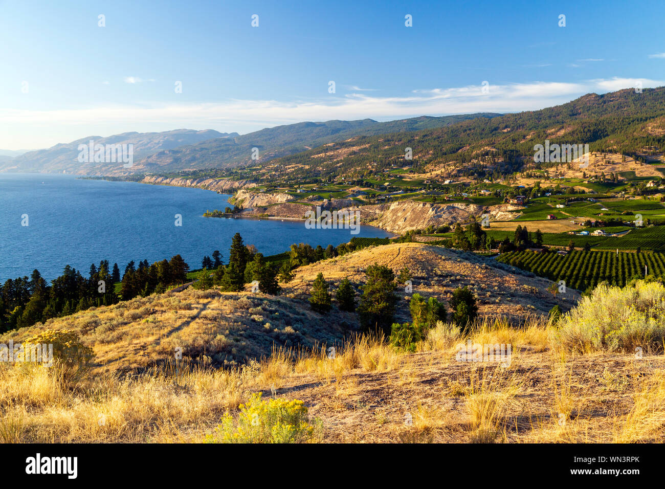 View Of The Naramata Bench From Munson Mountain In The Okanagan