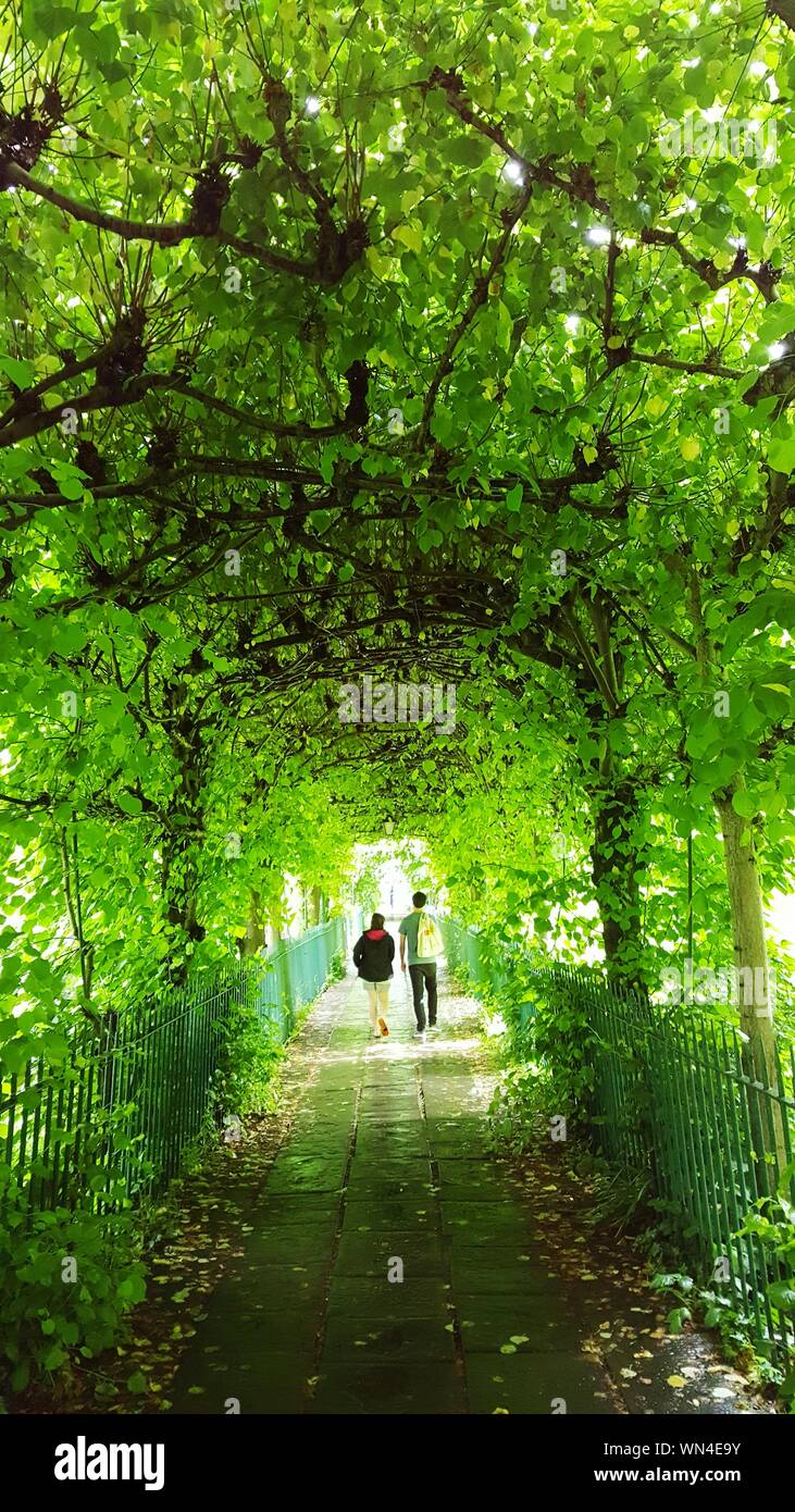 Plants covered walkway hires stock photography and images Alamy