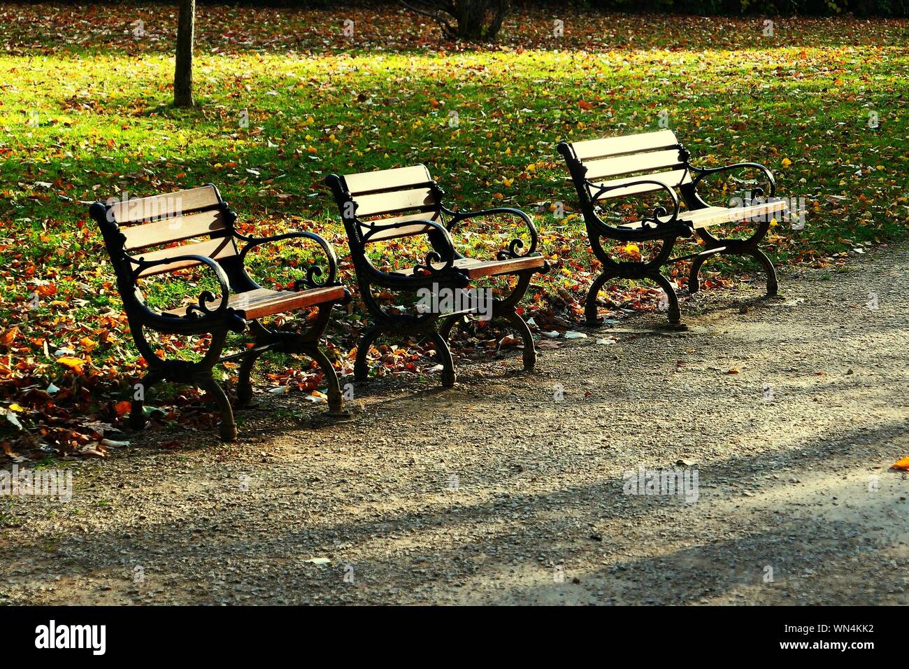 Empty Benches At Public Park Stock Photo 271166534 Alamy