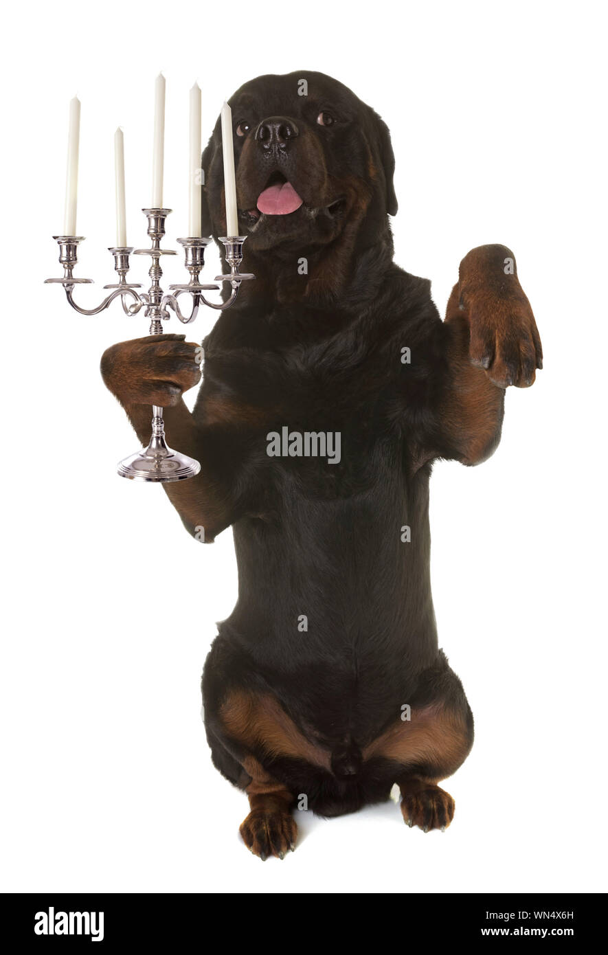 Candlestick candlestick holder hires stock photography and images Alamy