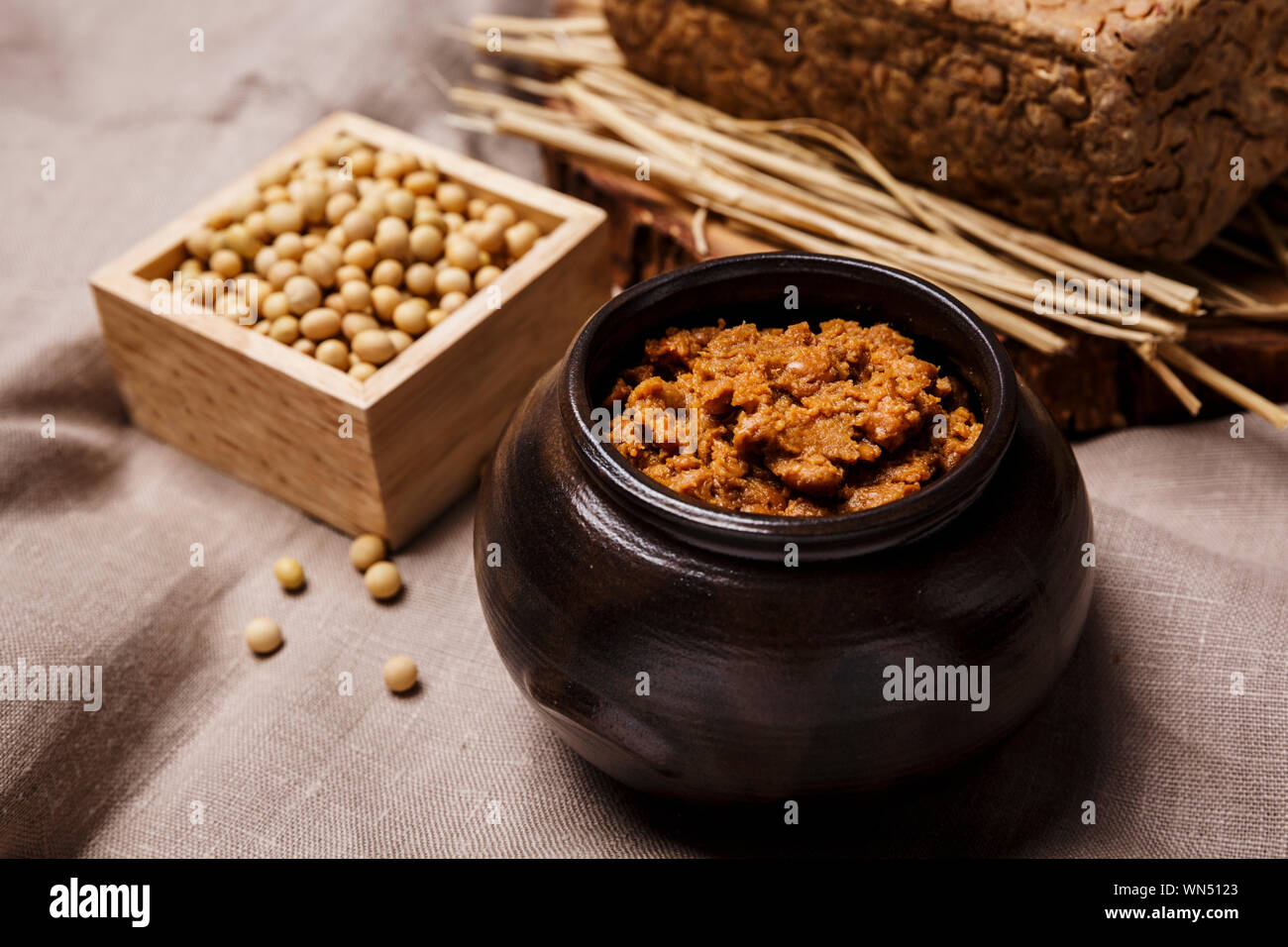 Concept of Korean traditional sauces, soy sauce, soybean paste and red