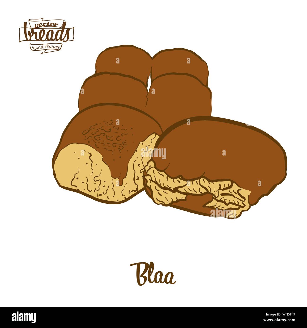 Colored drawing of Blaa bread. Vector illustration of Bun food, usually