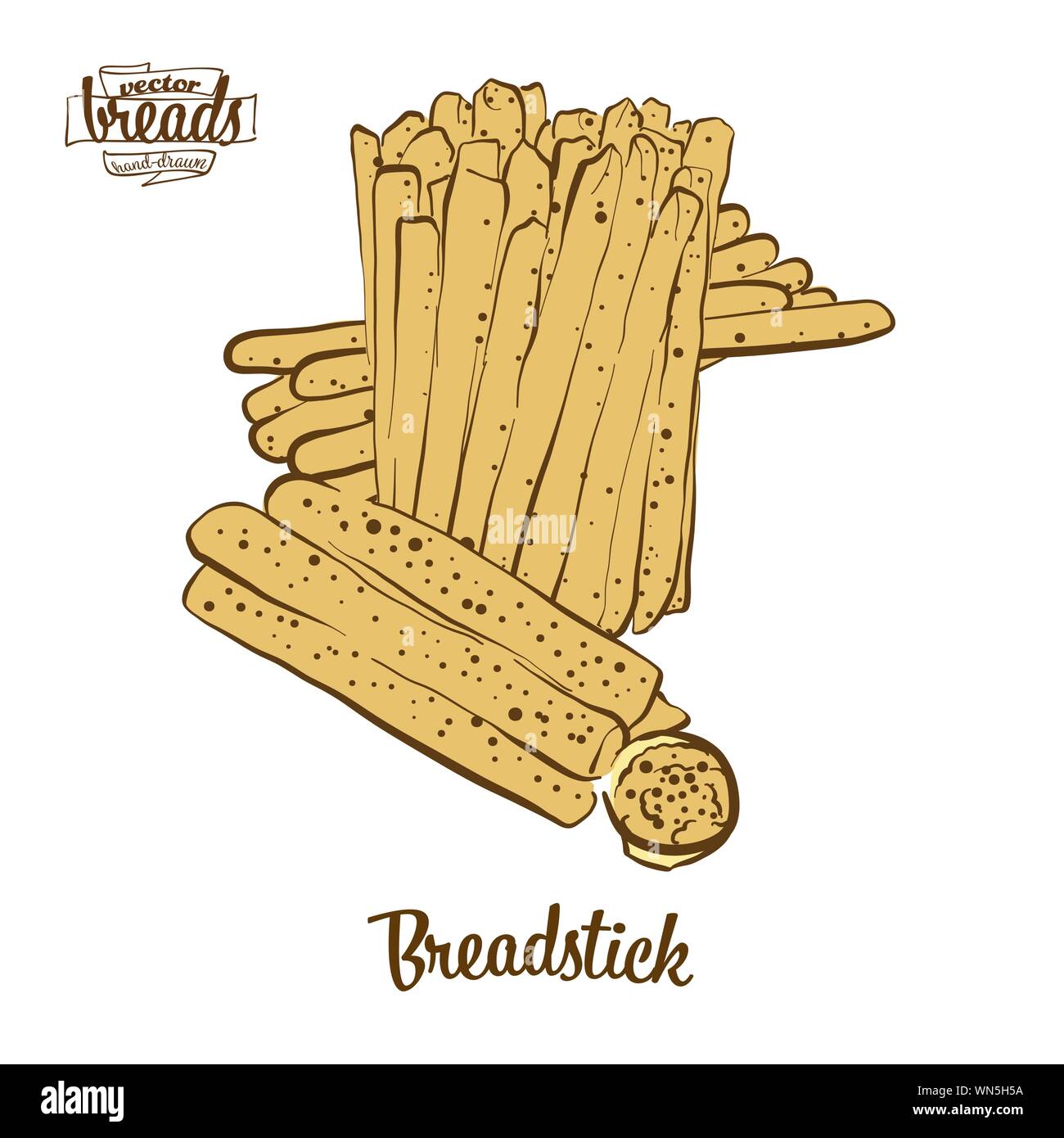Colored drawing of Breadstick bread. Vector illustration of Dry bread food, usually known in Italy. Colored Bread sketches. Stock Vector