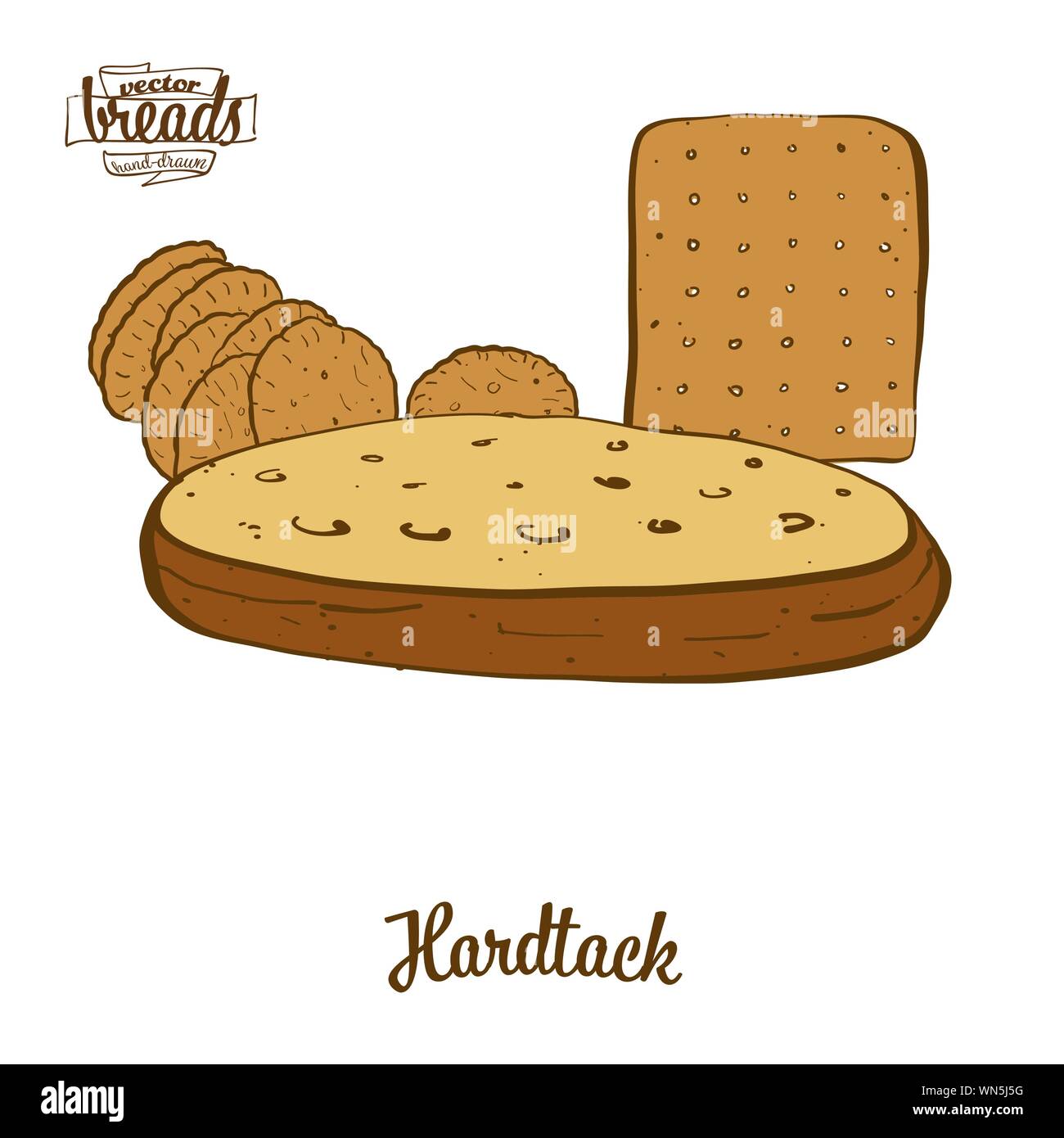 Colored drawing of Hardtack bread. Vector illustration of Flatbread food, usually known in . Colored Bread sketches. Stock Vector