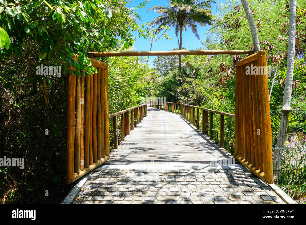 Perspective Of Wood Bridge In Deep Tropical Forest Wooden Bridge