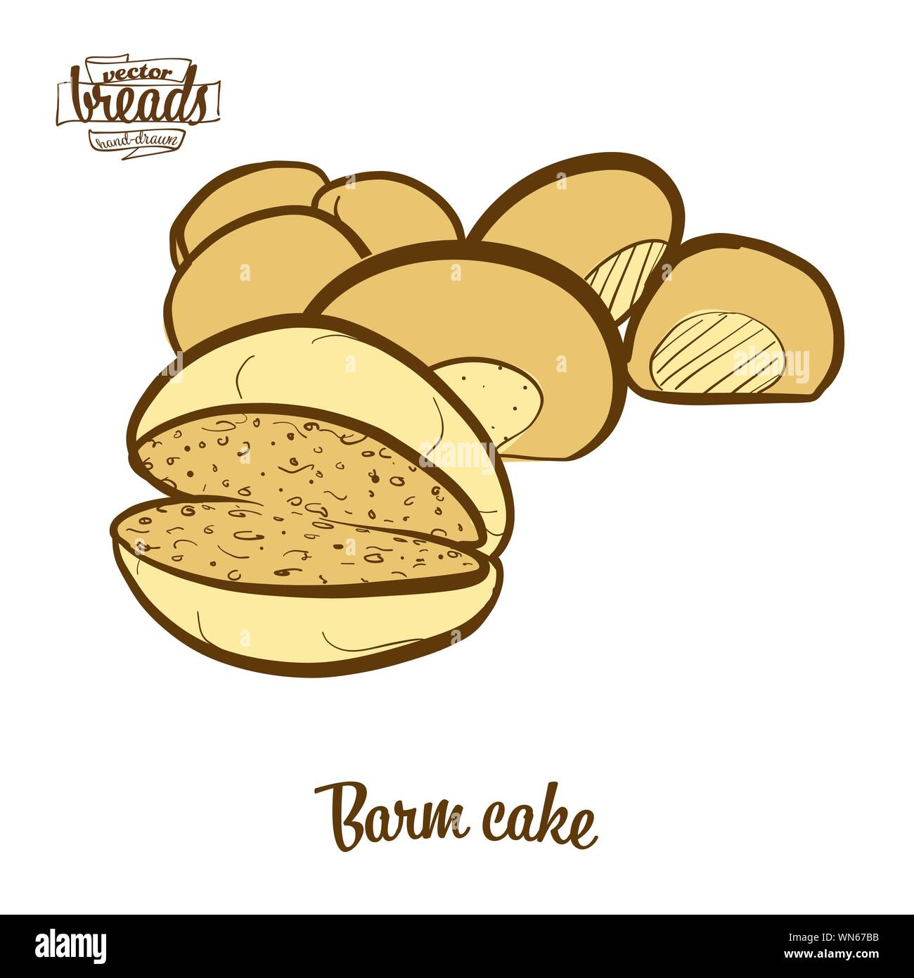 Colored drawing of Barm cake bread. Vector illustration of Yeast bread food, usually known in Lancashire. Colored Bread sketches. Stock Vector
