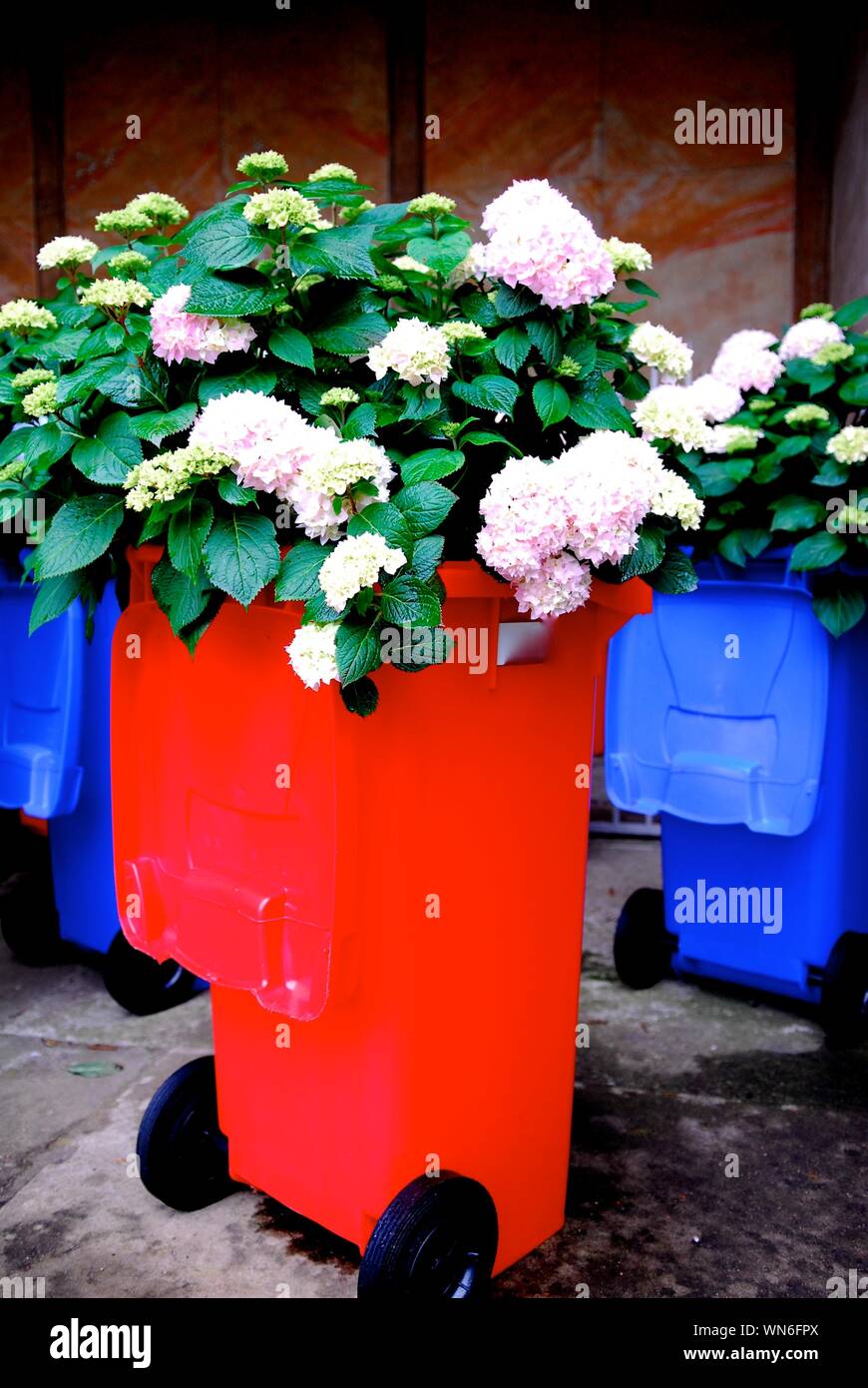 Recycling plant cans hires stock photography and images Alamy