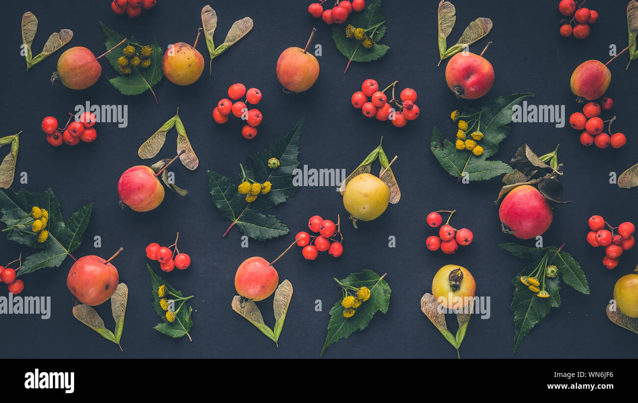 Autumn floral pattern of fruits and berries on a dark background. Top view Stock Photo
