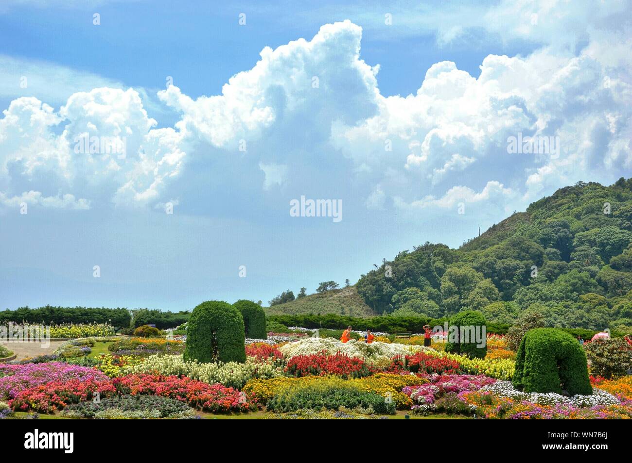 Sky garden and scenic color hi-res stock photography and images - Alamy