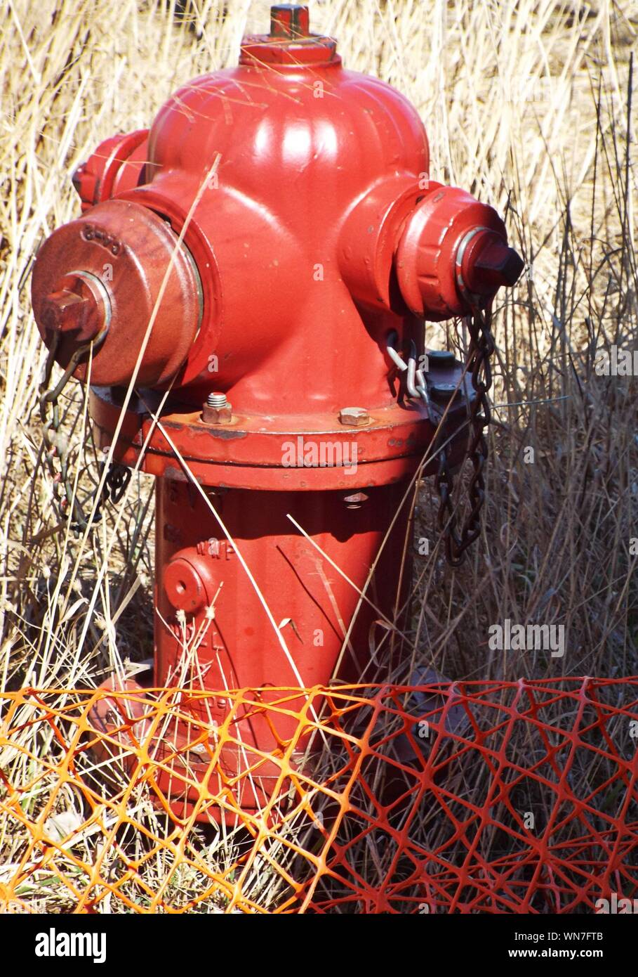 Red Fire Hydrant On Grassy Field Stock Photo Alamy