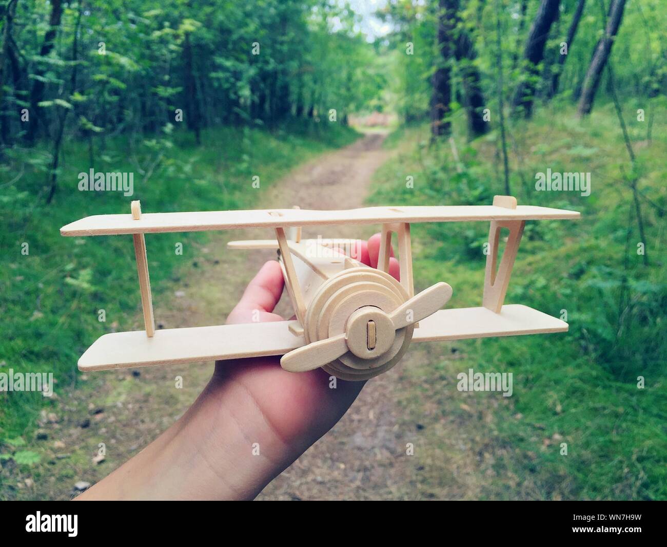 Cropped Image Of Person Holding Wooden Airplane Over Footpath In Forest Stock Photo