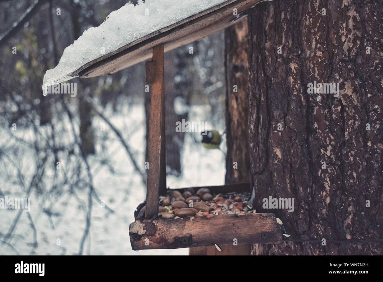Close Up Of Snow Covered Bird Feeder During Winter Stock Photo