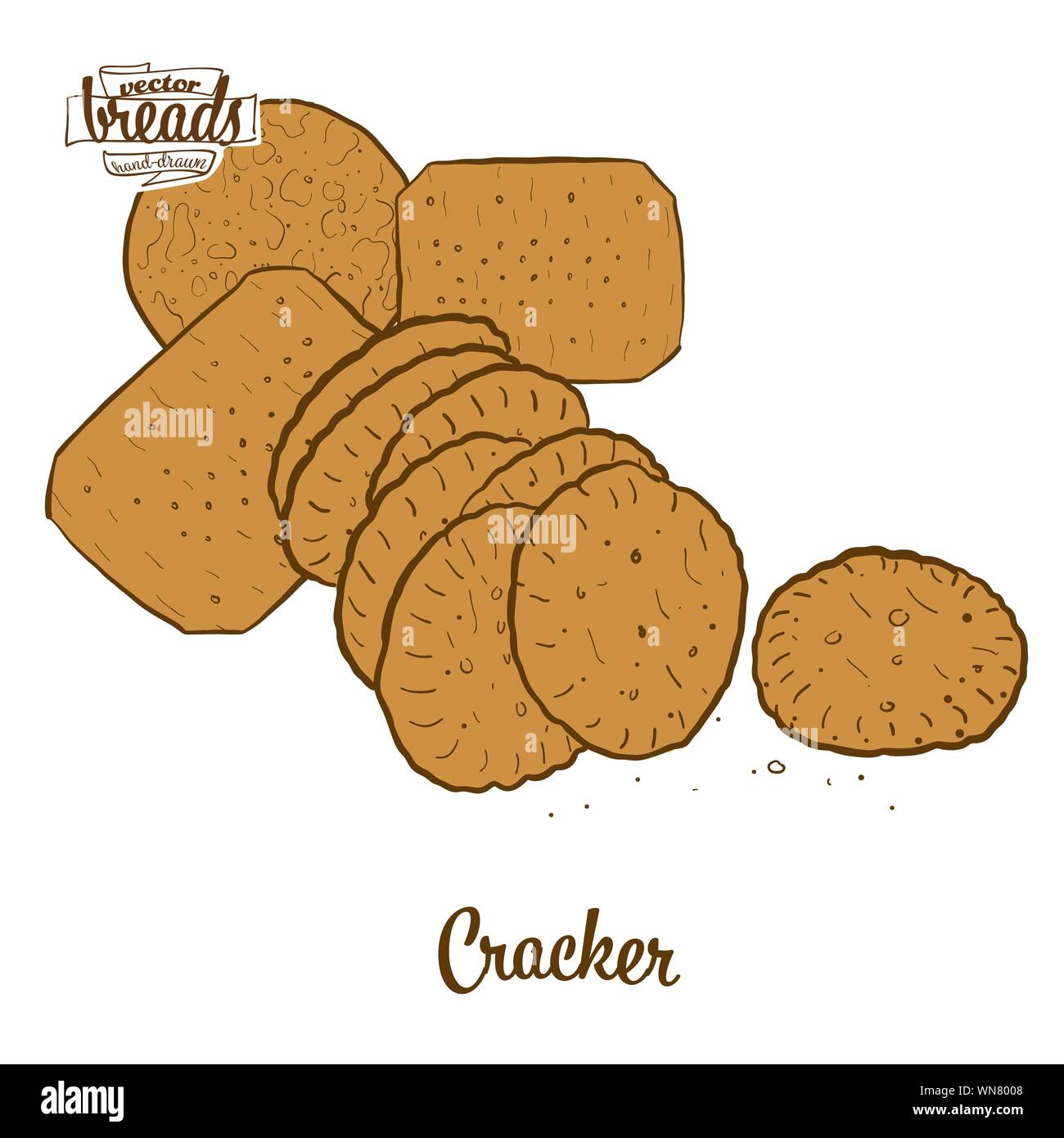 Colored drawing of Cracker bread. Vector illustration of Crispy bread food, usually known in International. Colored Bread sketches. Stock Vector