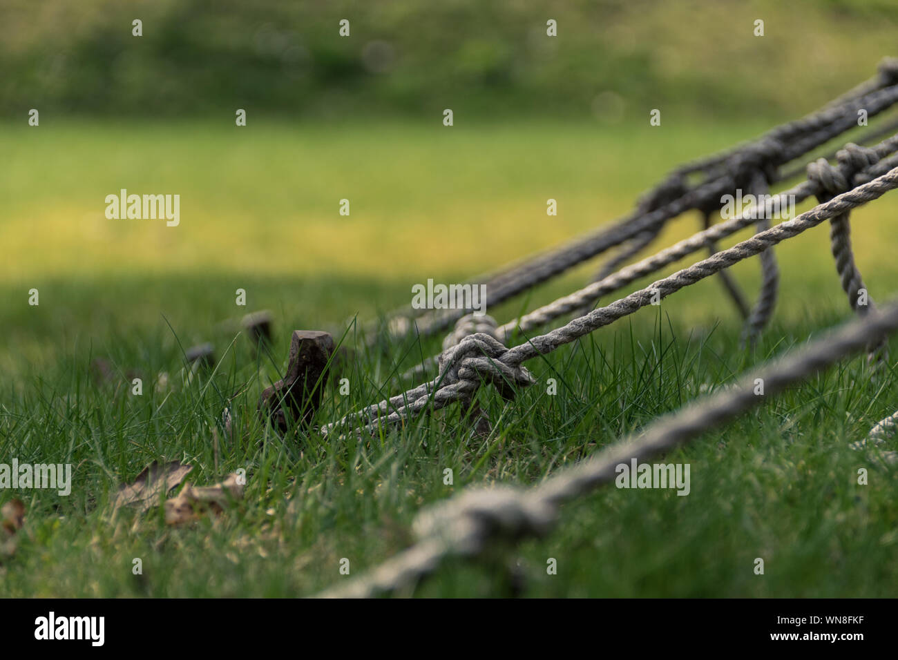 Strings Attached High Resolution Stock Photography and Images Alamy