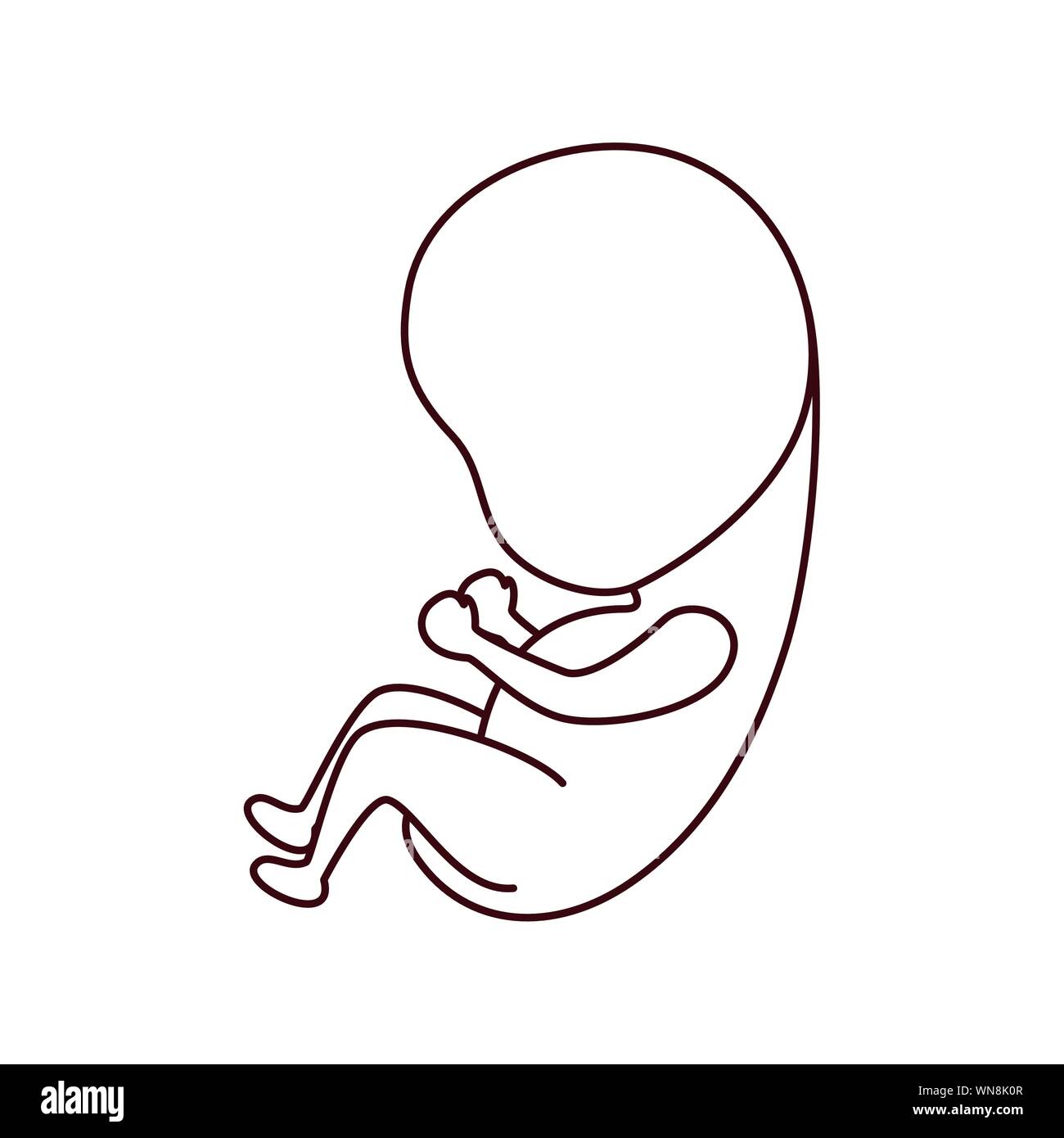 baby fetus pregnancy isolated icon Stock Vector Image & Art - Alamy