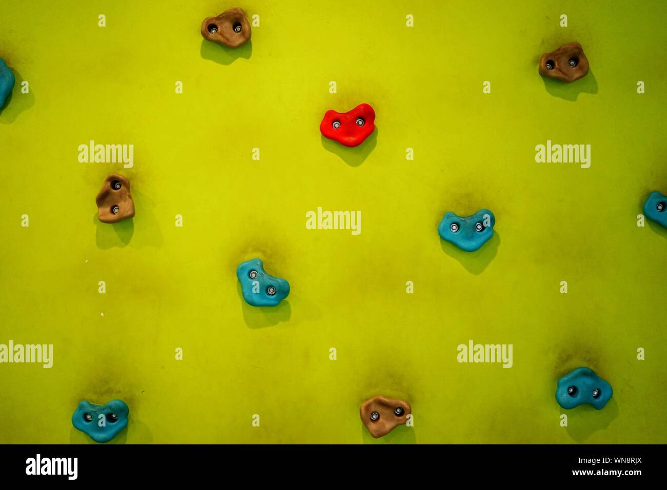 Colorful Handgrips On Climbing Wall Stock Photo - Alamy