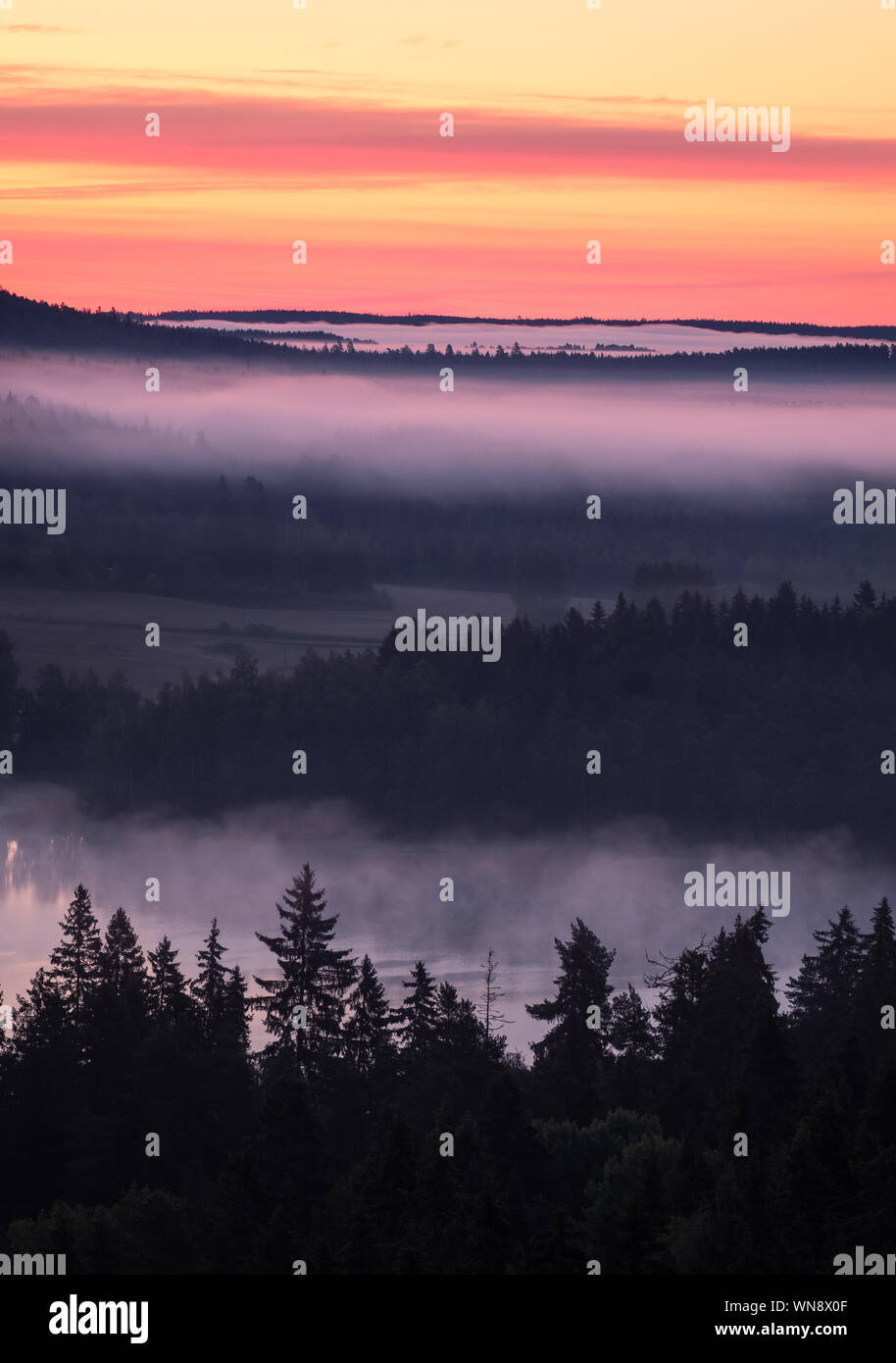 Scenic foggy landscape with mood forest at summer morning at National park, Finland. High angle aerial view. Stock Photo