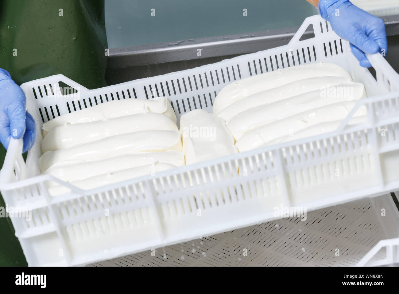 Worker's hands in gloves holding white storage box with fresh chilled