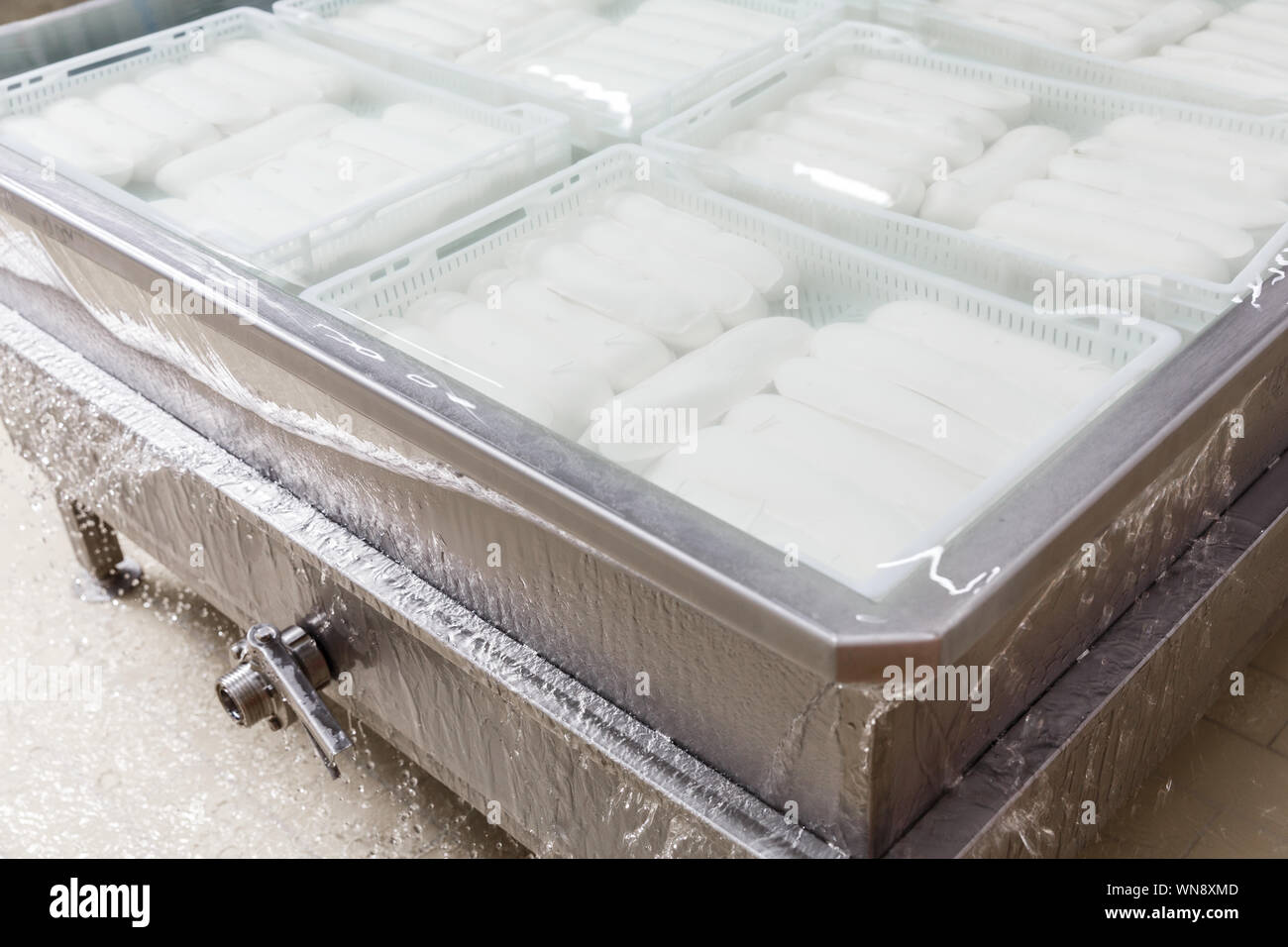 Cooling water bath for mozzarella cheese on a production factory as part of manufacturing process. Cheese and dairy production Stock Photo