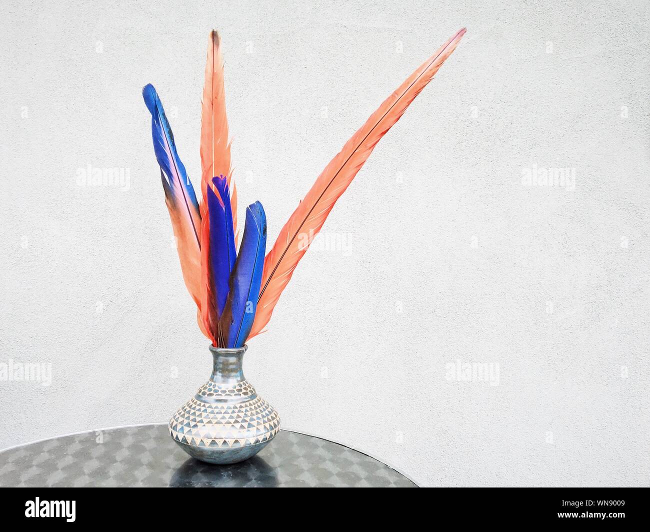Vase Of Feathers Stock Photos Vase Of Feathers Stock Images Alamy