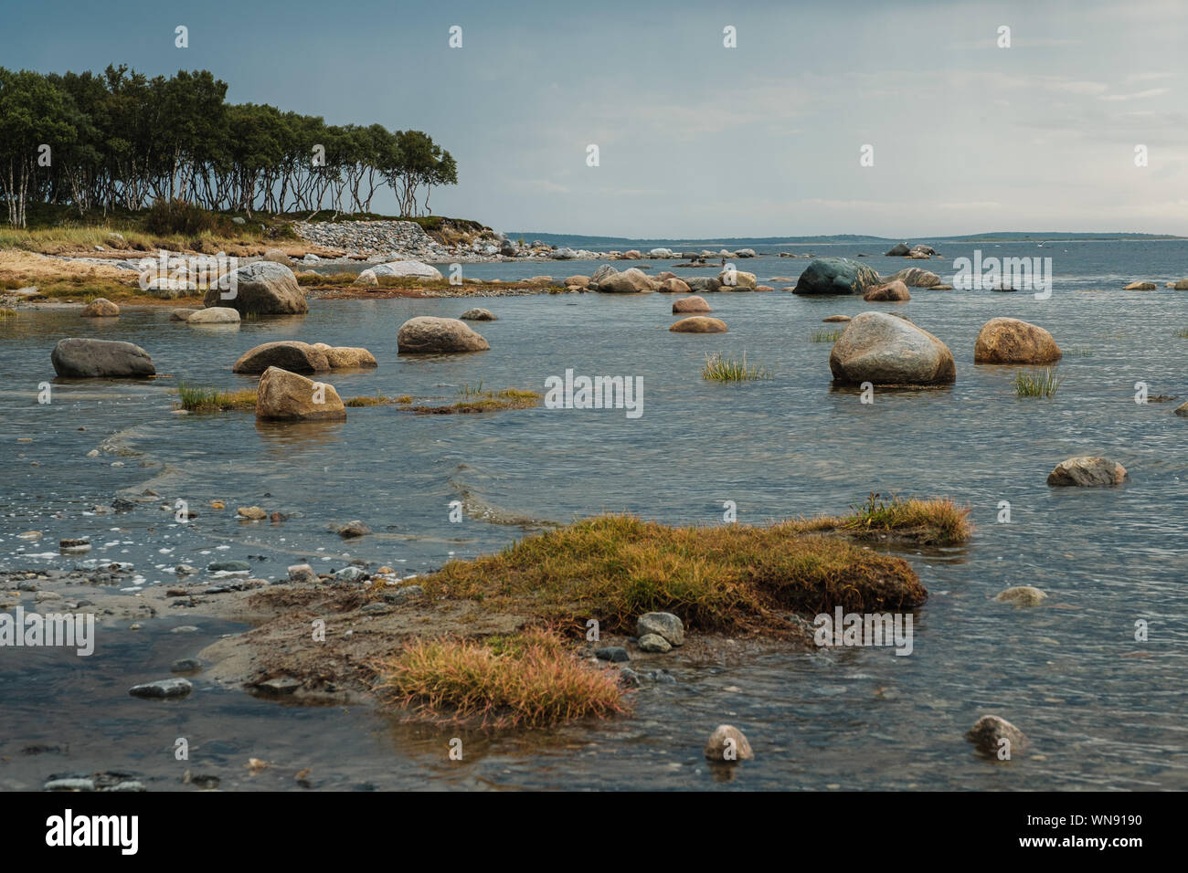 Northern sea landscape on the Solovetsky Islands Stock Photo