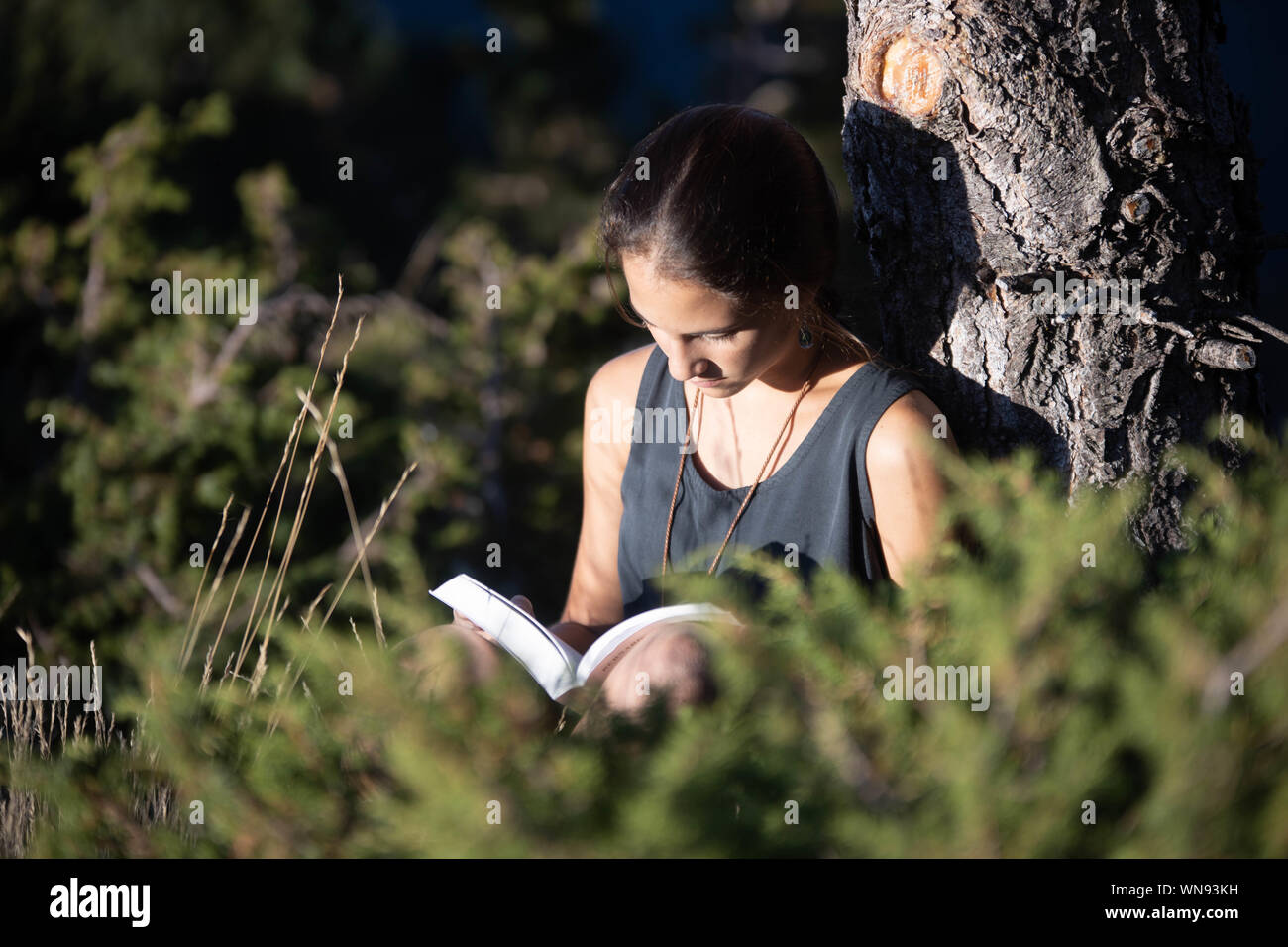 Chica adolescente leyendo un libro el exterior junto a un árbol Stock Photo