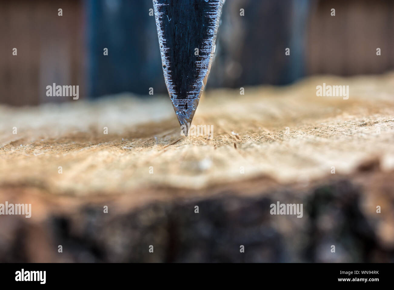 Sharp ax hits and splits the wood of a tree trunk Stock Photo