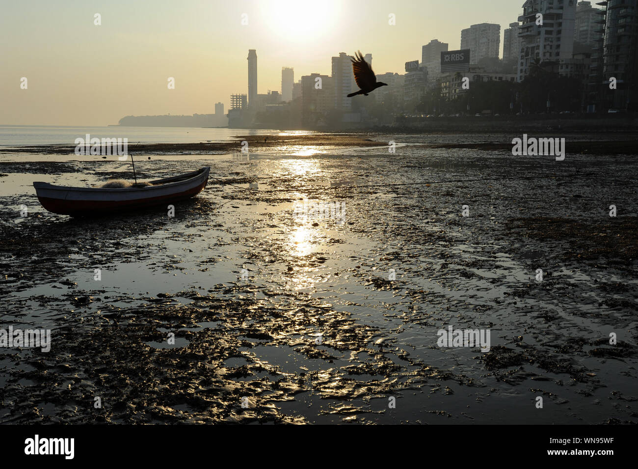 12.12.2011, Mumbai, Maharashtra, India, Asia - Sunset on Chowpatty Beach with the silhouette of the Malabar Hill city skyline in the backdrop. Stock Photo