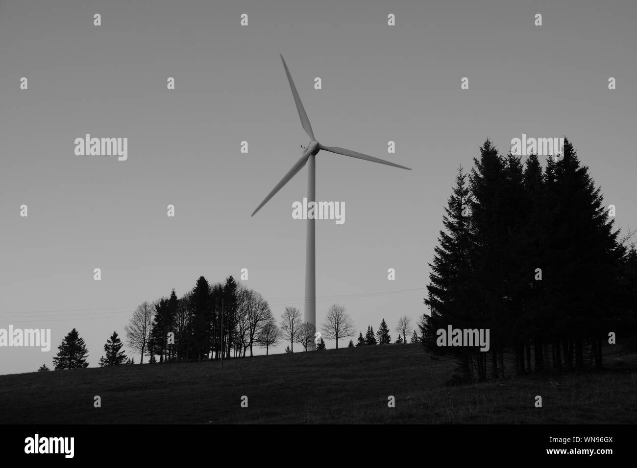 urban wind turbine