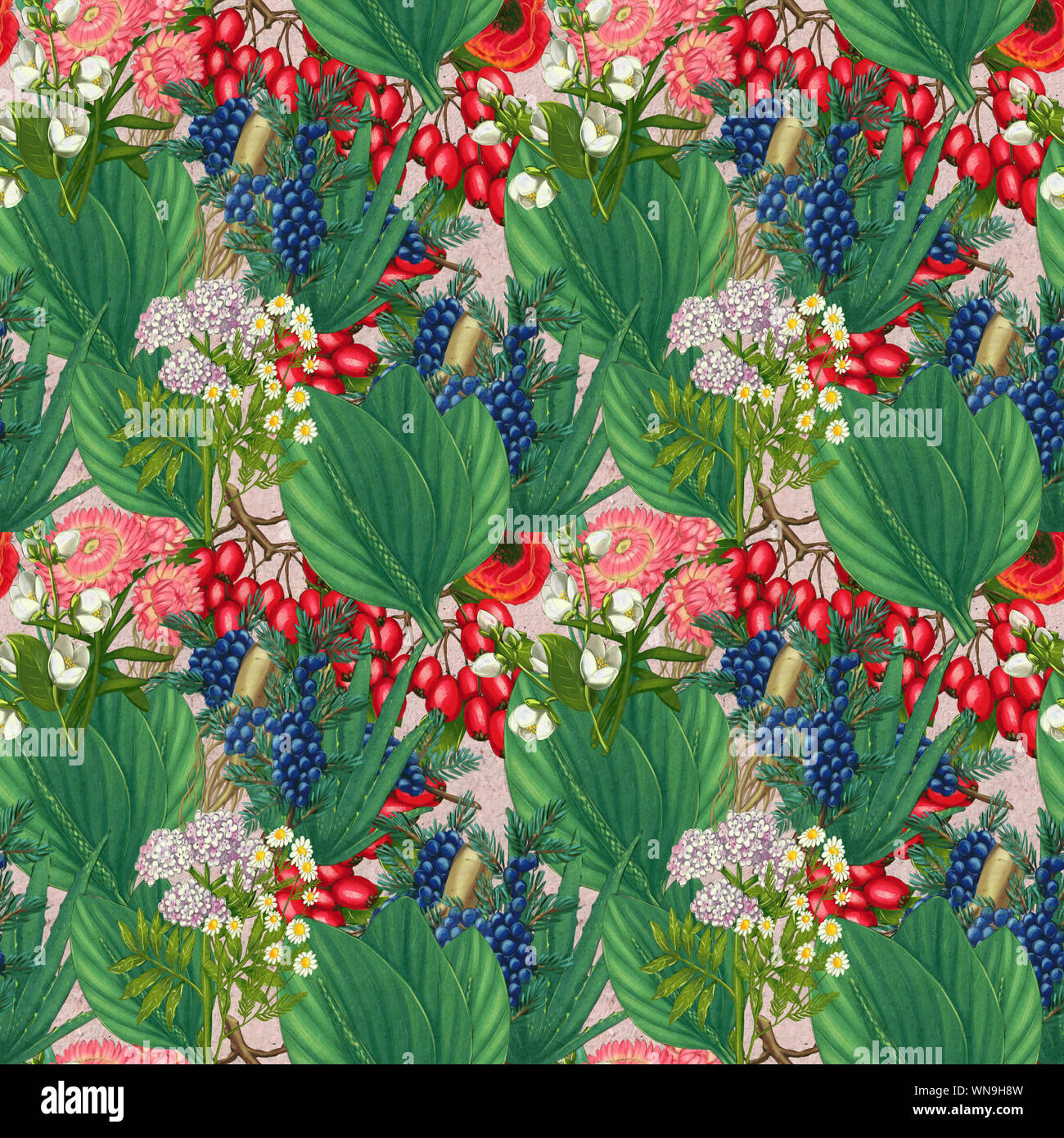 Hand drawn medicinal plant seamless pattern. Healing herbs drawing on ...