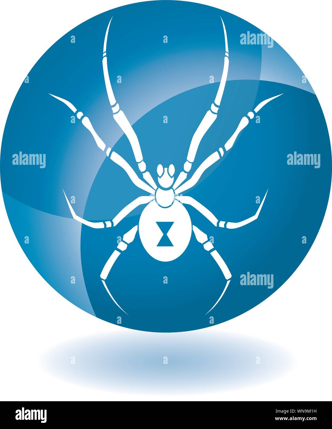 Button Spider Texture Button spiders hi-res stock photography and images - Alamy