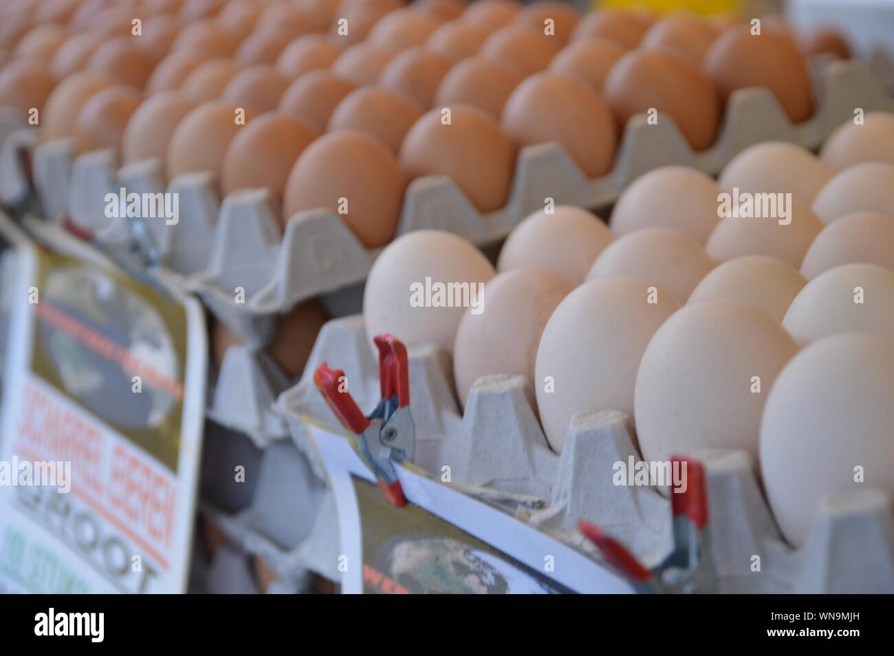 Crates of eggs hires stock photography and images Alamy
