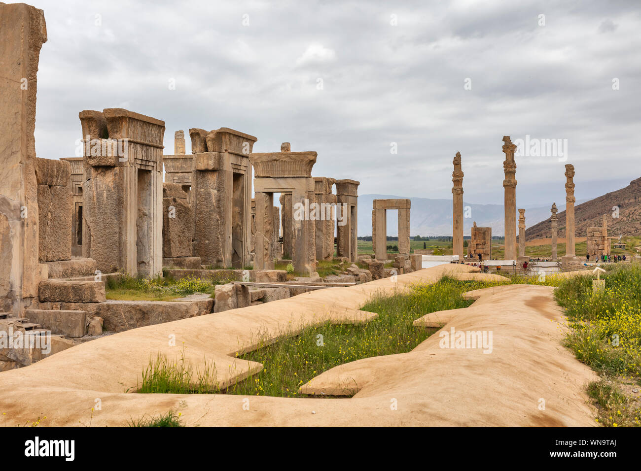 Ruins of the Tachara, Palace of Darius the Great, Persepolis