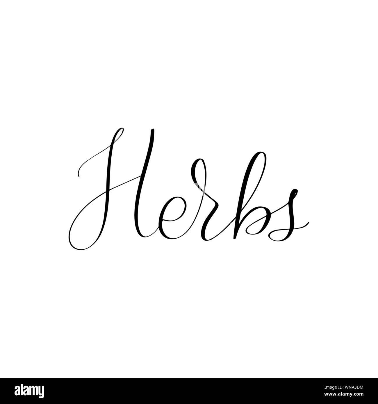 Inspirational handwritten brush lettering . Vector calligraphy illustration  Stock Vector