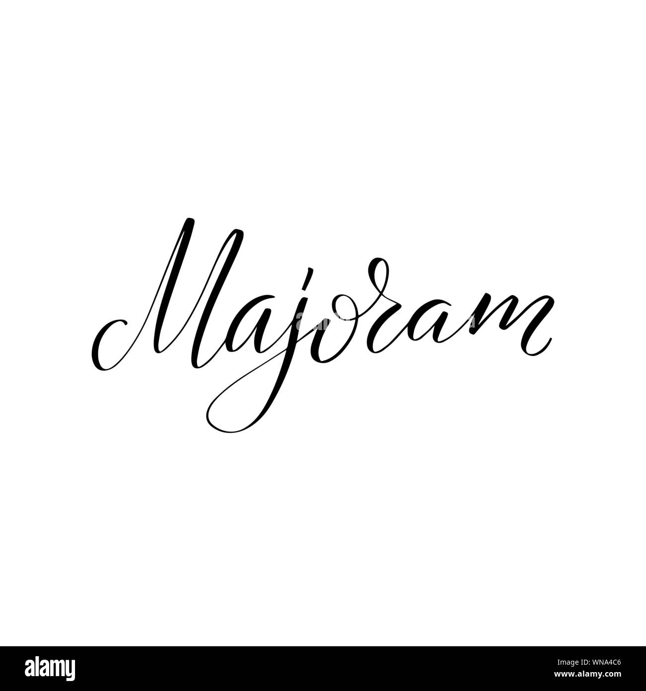 Inspirational handwritten brush lettering . Vector calligraphy illustration Stock Vector