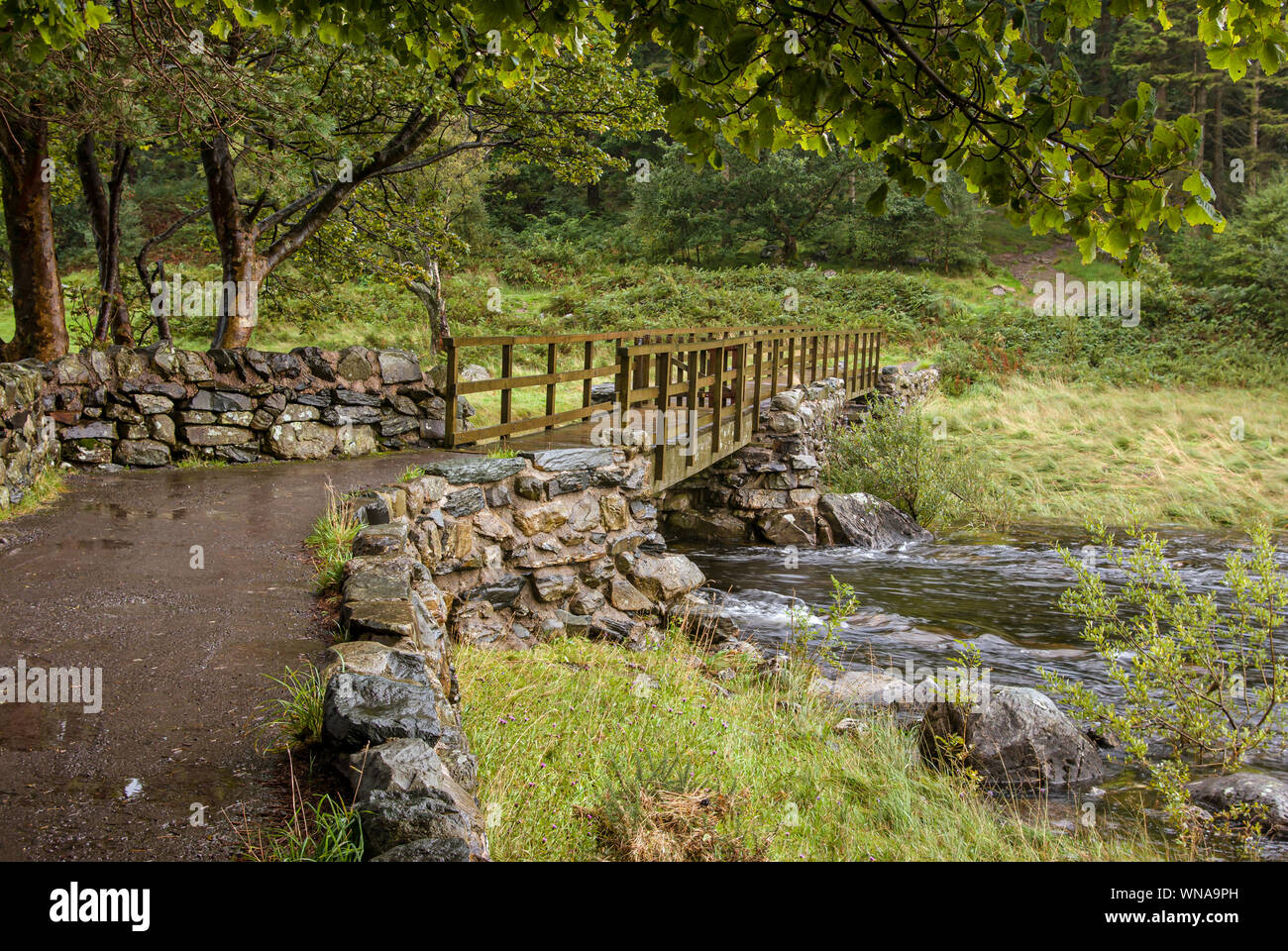 Damp path leading to a wooden bridge over a stream with wooded area beyond. Stock Photo