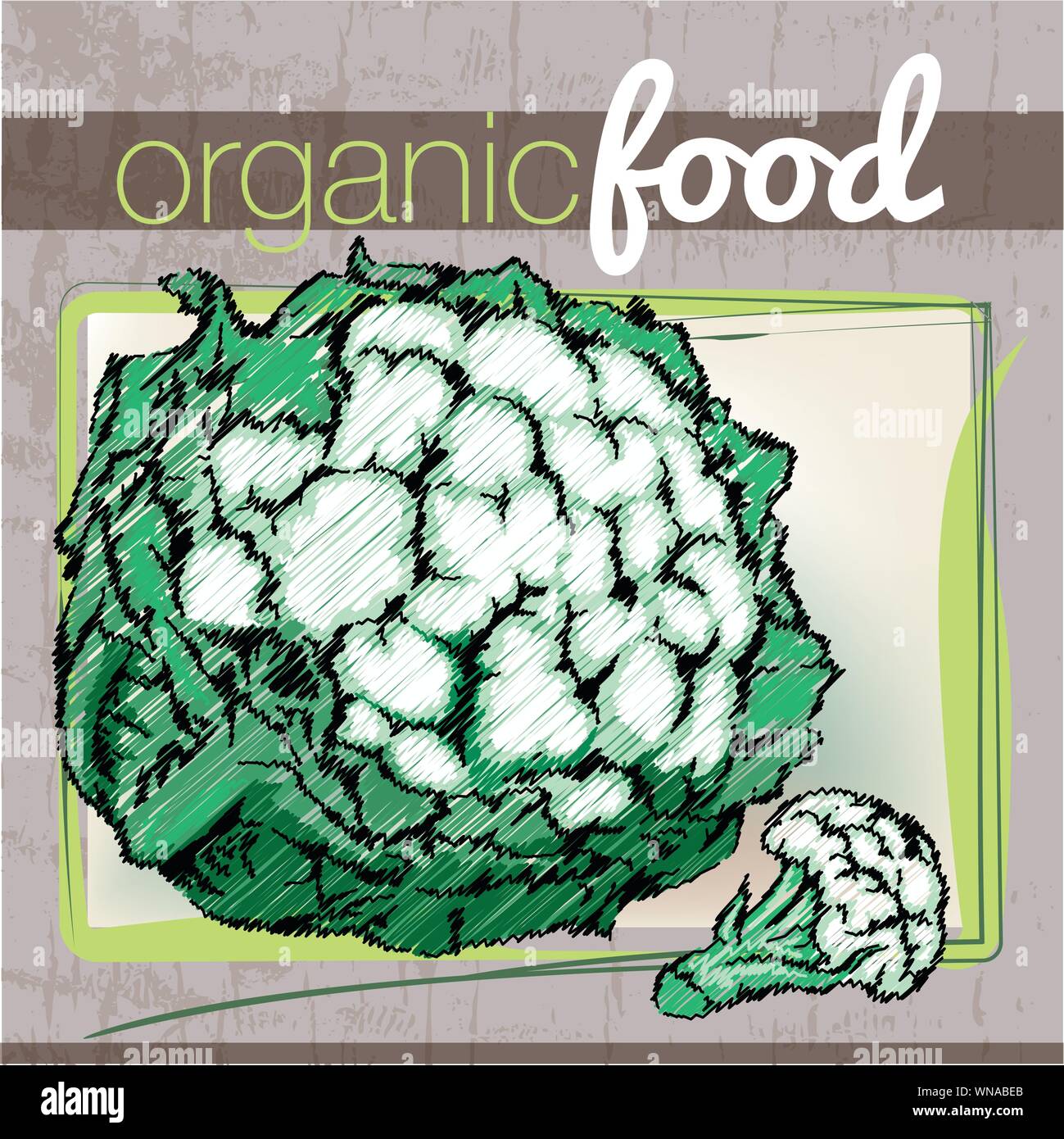 Organic Food illustration Stock Vector Image & Art - Alamy